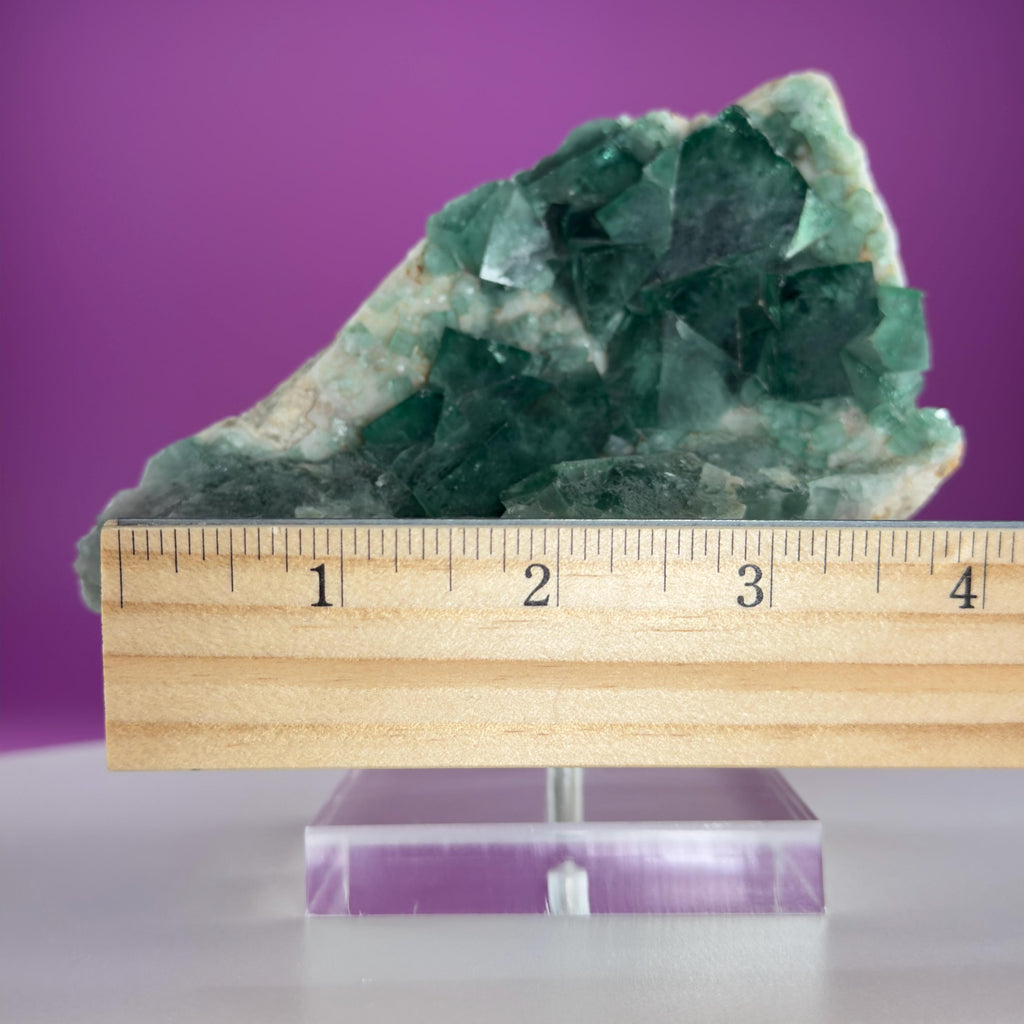 Green Fluorite on Matrix Display Specimen, UV Reactive (Includes Metal/Acrylic Stand)