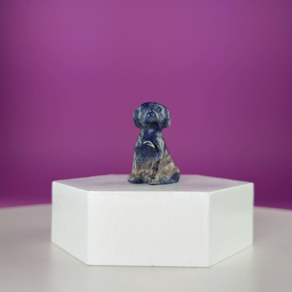 Mini Crystal Dog Carving  Black Obsidian Bloodstone Sodalite  Small Healing Stone Animal Figurine
