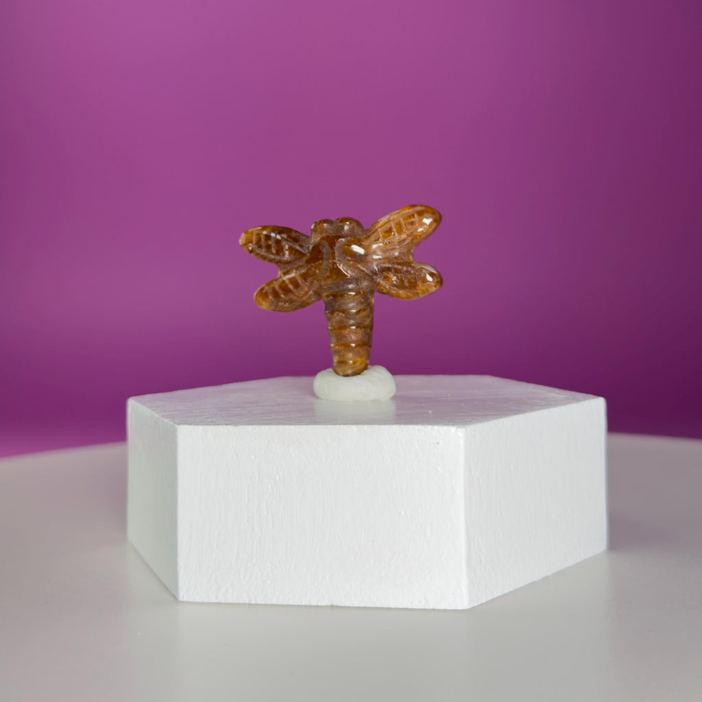 Golden Healer Dragonfly Mini 17g | Healing Crystal Carving | Transformation Pocket Stone Gift
