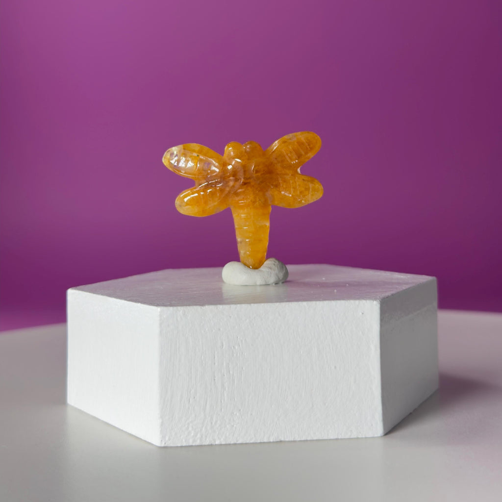 Golden Healer Dragonfly Mini 17g | Healing Crystal Carving | Transformation Pocket Stone Gift
