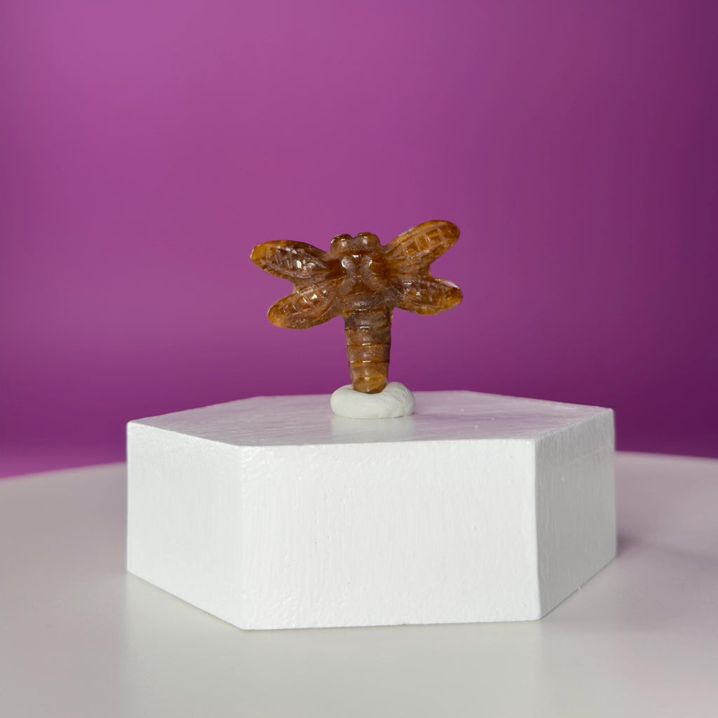 Golden Healer Dragonfly Mini 17g | Healing Crystal Carving | Transformation Pocket Stone Gift