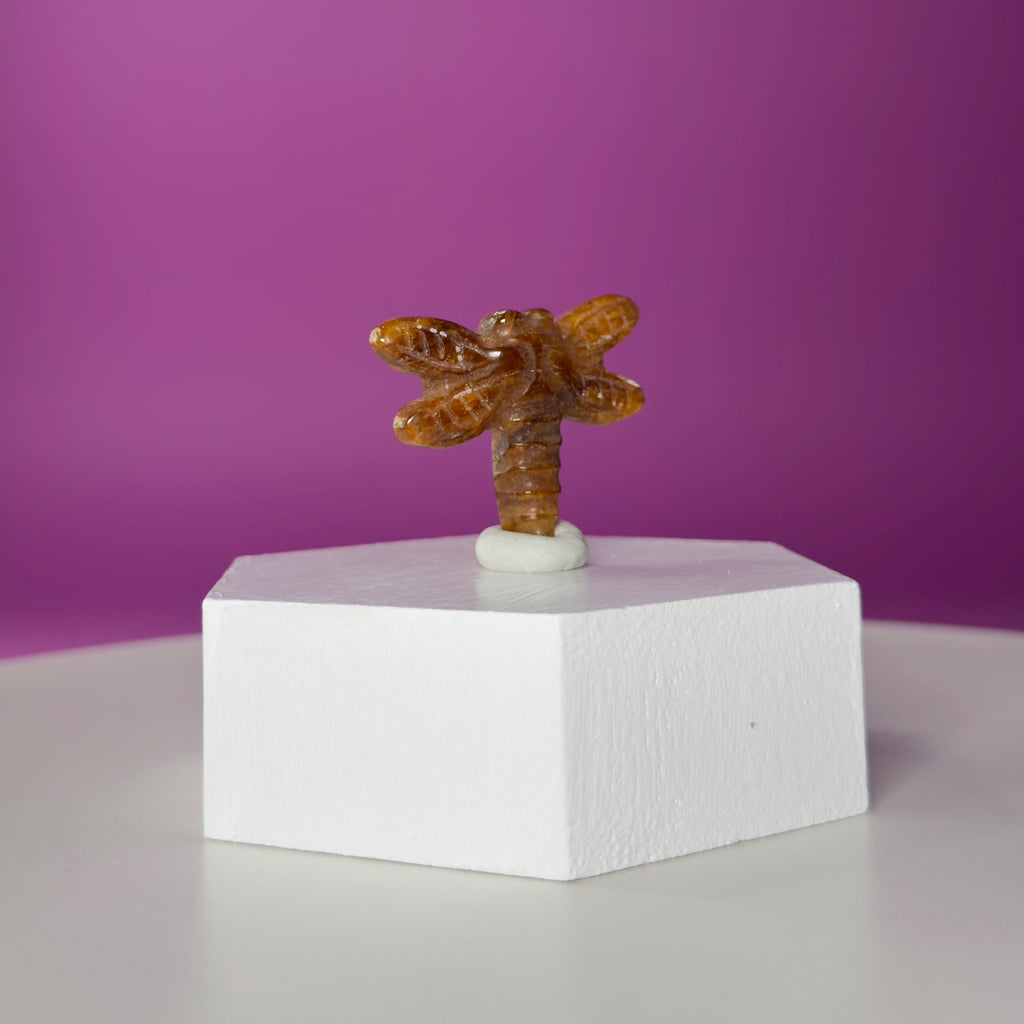 Golden Healer Dragonfly Mini 17g | Healing Crystal Carving | Transformation Pocket Stone Gift