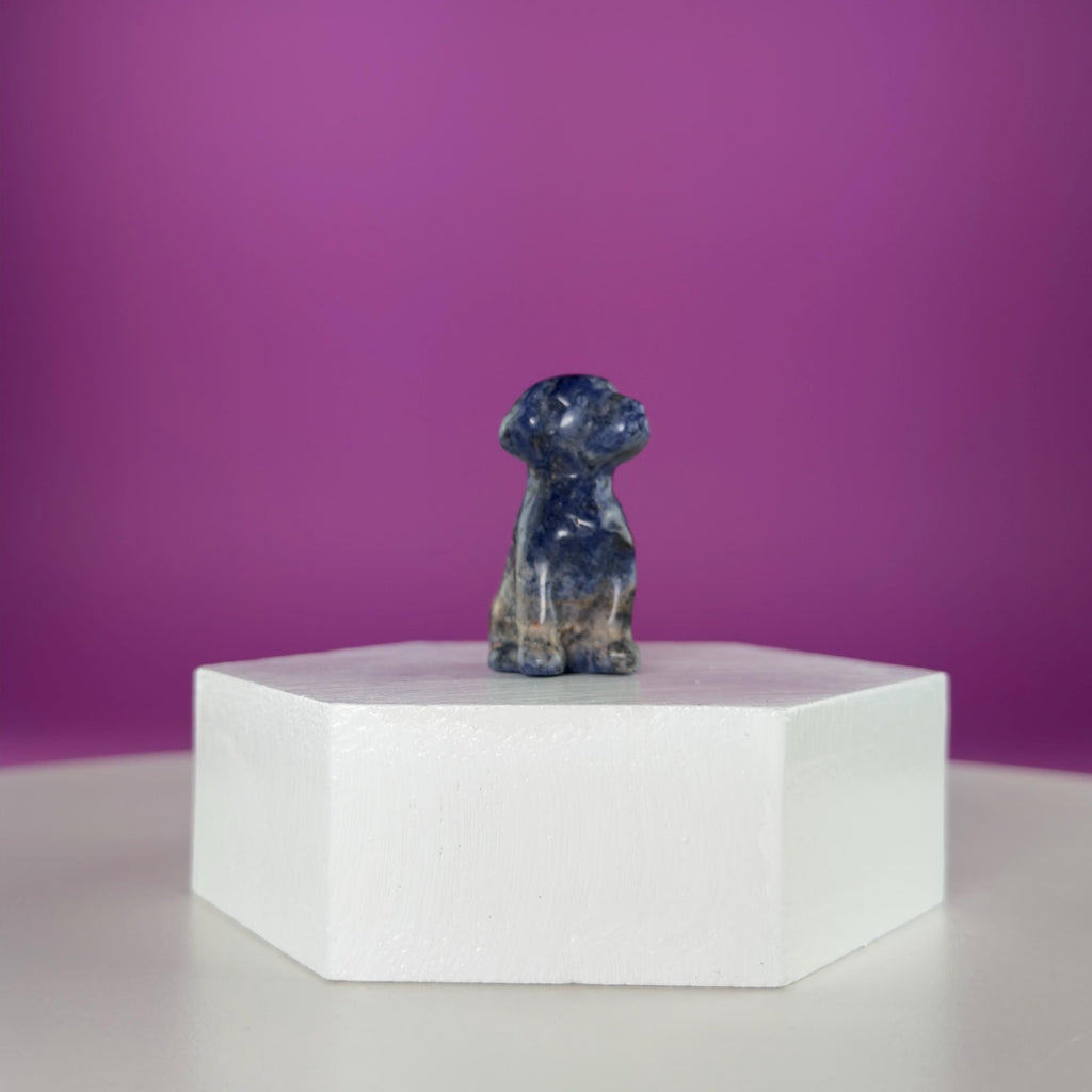 Mini Crystal Dog Carving  Black Obsidian Bloodstone Sodalite  Small Healing Stone Animal Figurine