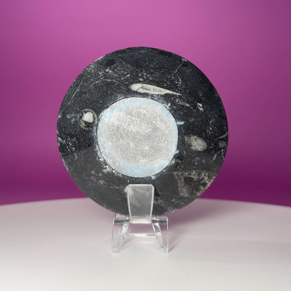 Mini Orthoceras Offering Bowl – 151g Fossil Crystal Dish for Altars & Ritual Work