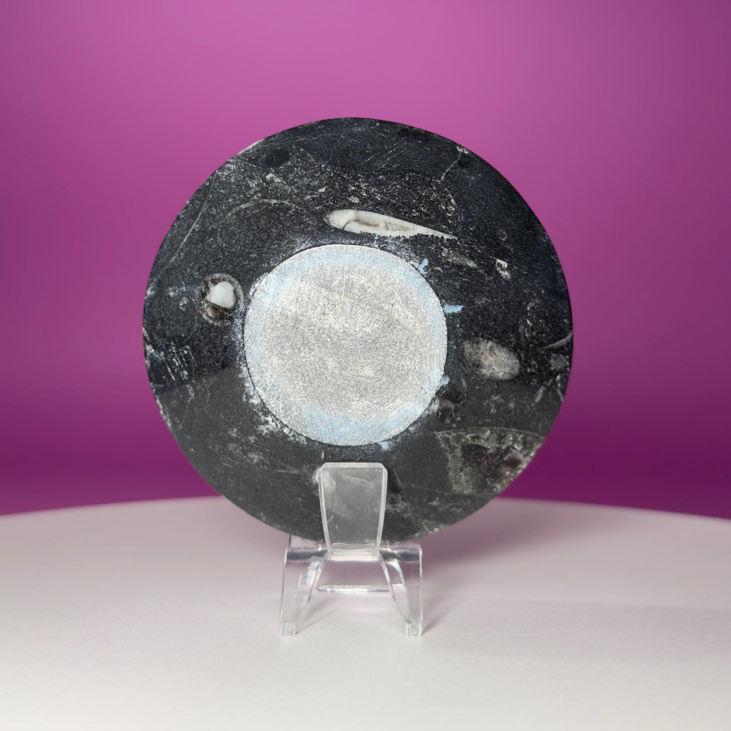 Mini Orthoceras Offering Bowl – 151g Fossil Crystal Dish for Altars & Ritual Work