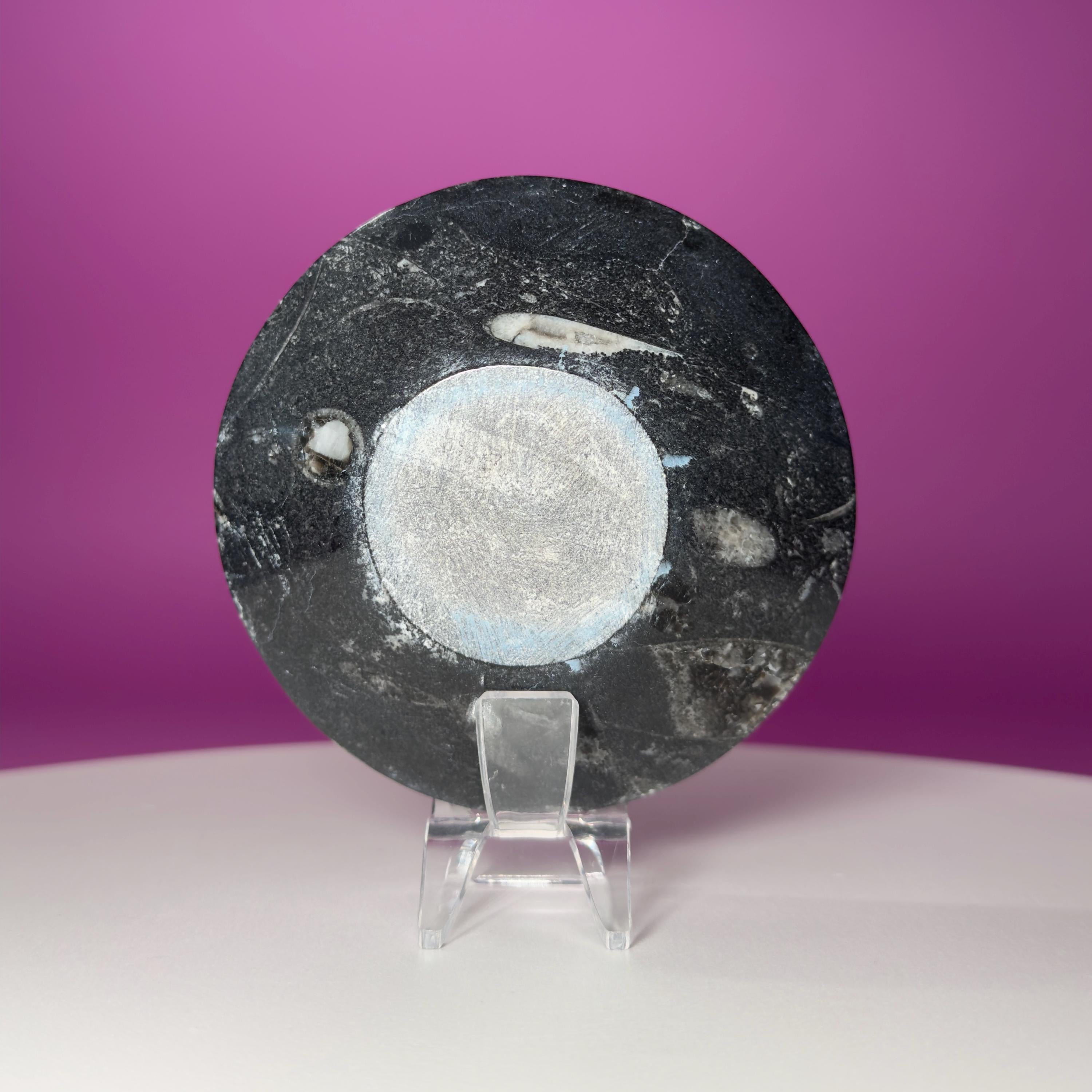 Mini Orthoceras Offering Bowl – 151g Fossil Crystal Dish for Altars & Ritual Work