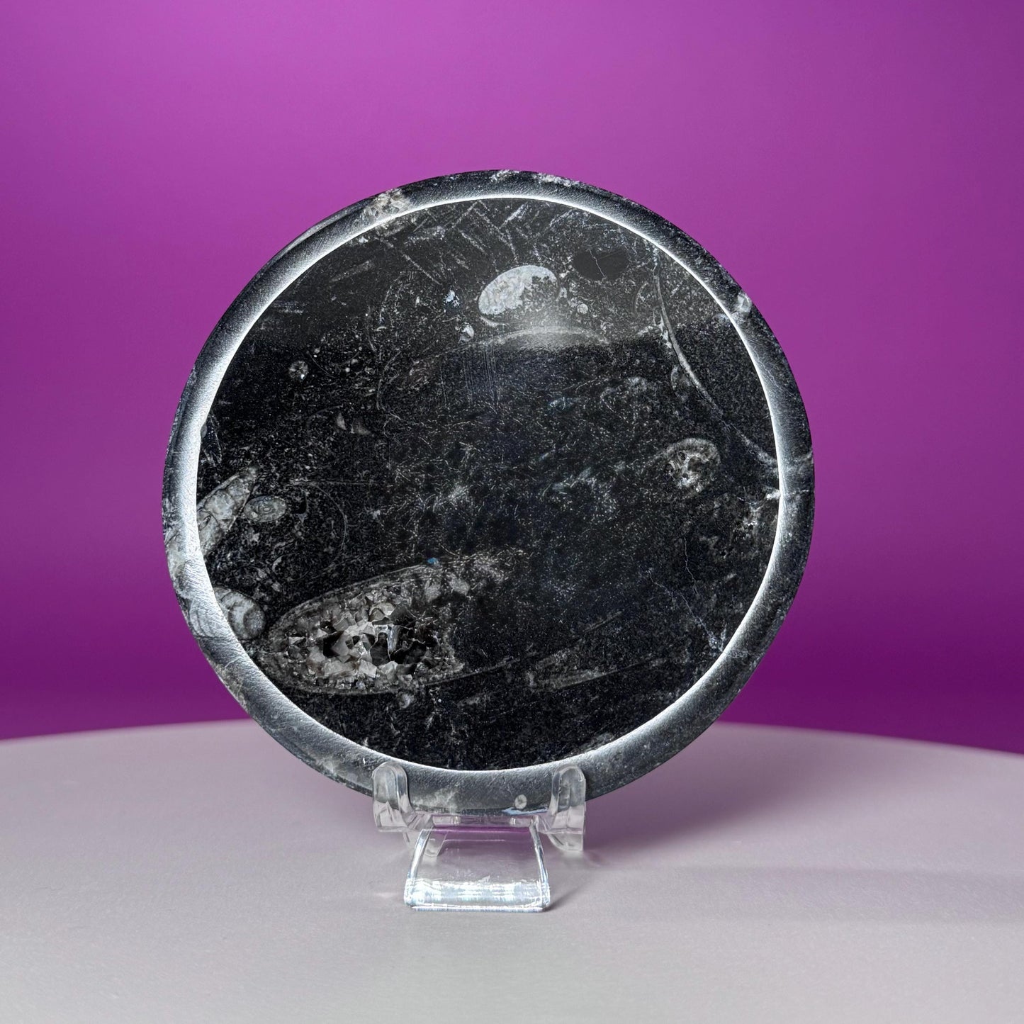 Mini Orthoceras Offering Bowl – 151g Fossil Crystal Dish for Altars & Ritual Work