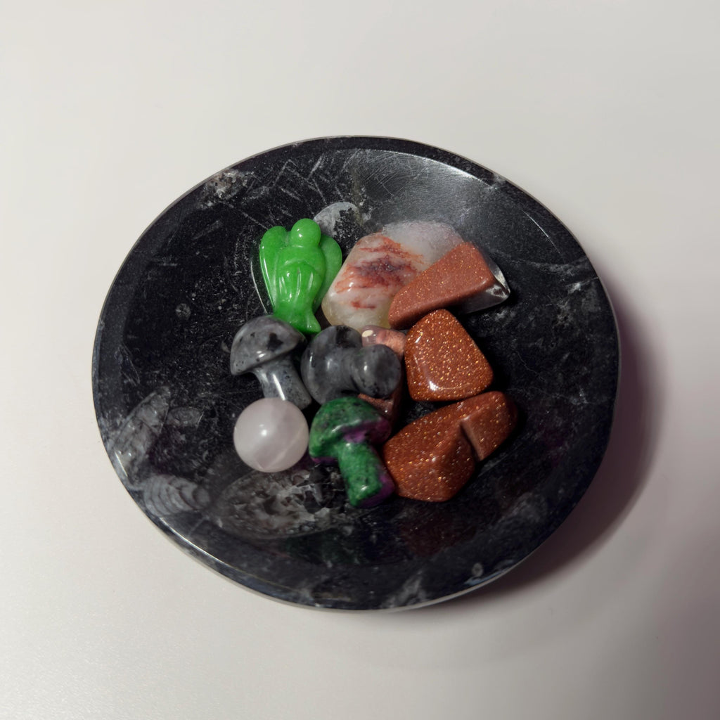 Mini Orthoceras Offering Bowl – 151g Fossil Crystal Dish for Altars & Ritual Work