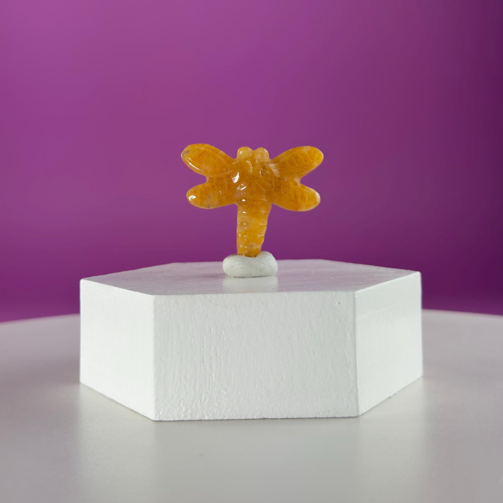 Golden Healer Dragonfly Mini 17g | Healing Crystal Carving | Transformation Pocket Stone Gift