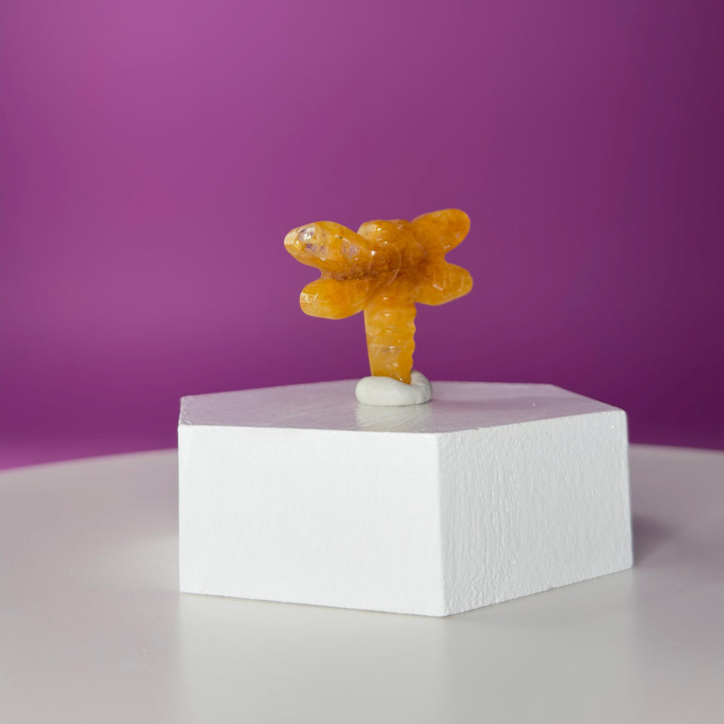 Golden Healer Dragonfly Mini 17g | Healing Crystal Carving | Transformation Pocket Stone Gift