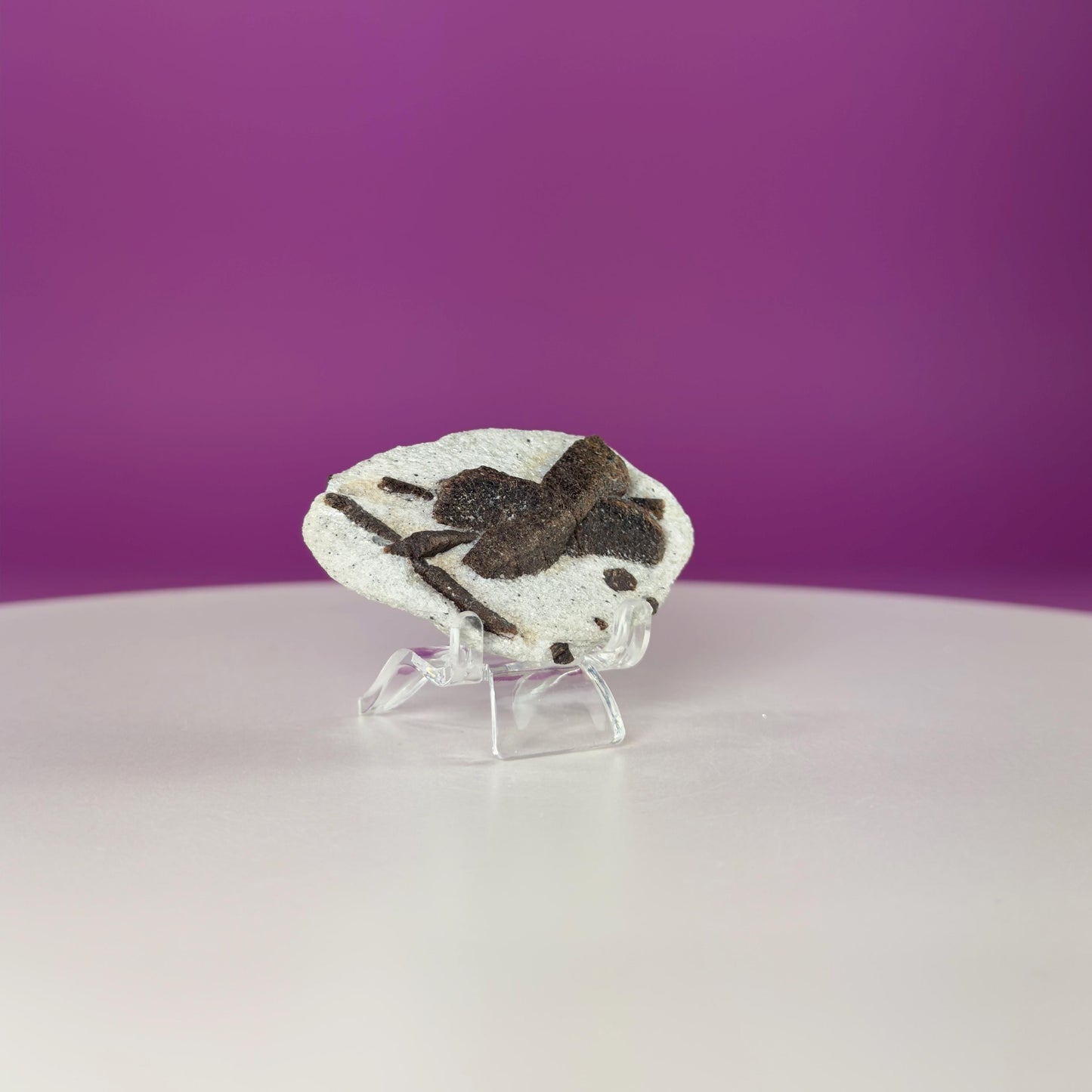 Staurolite Specimen from Russia | 38g Natural Cross Crystal with Stand