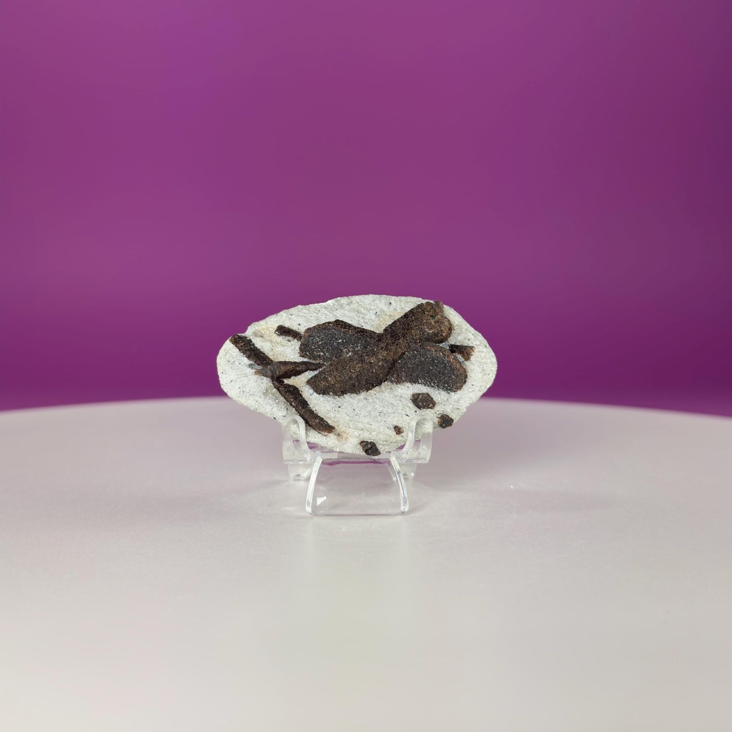 Staurolite Specimen from Russia | 38g Natural Cross Crystal with Stand