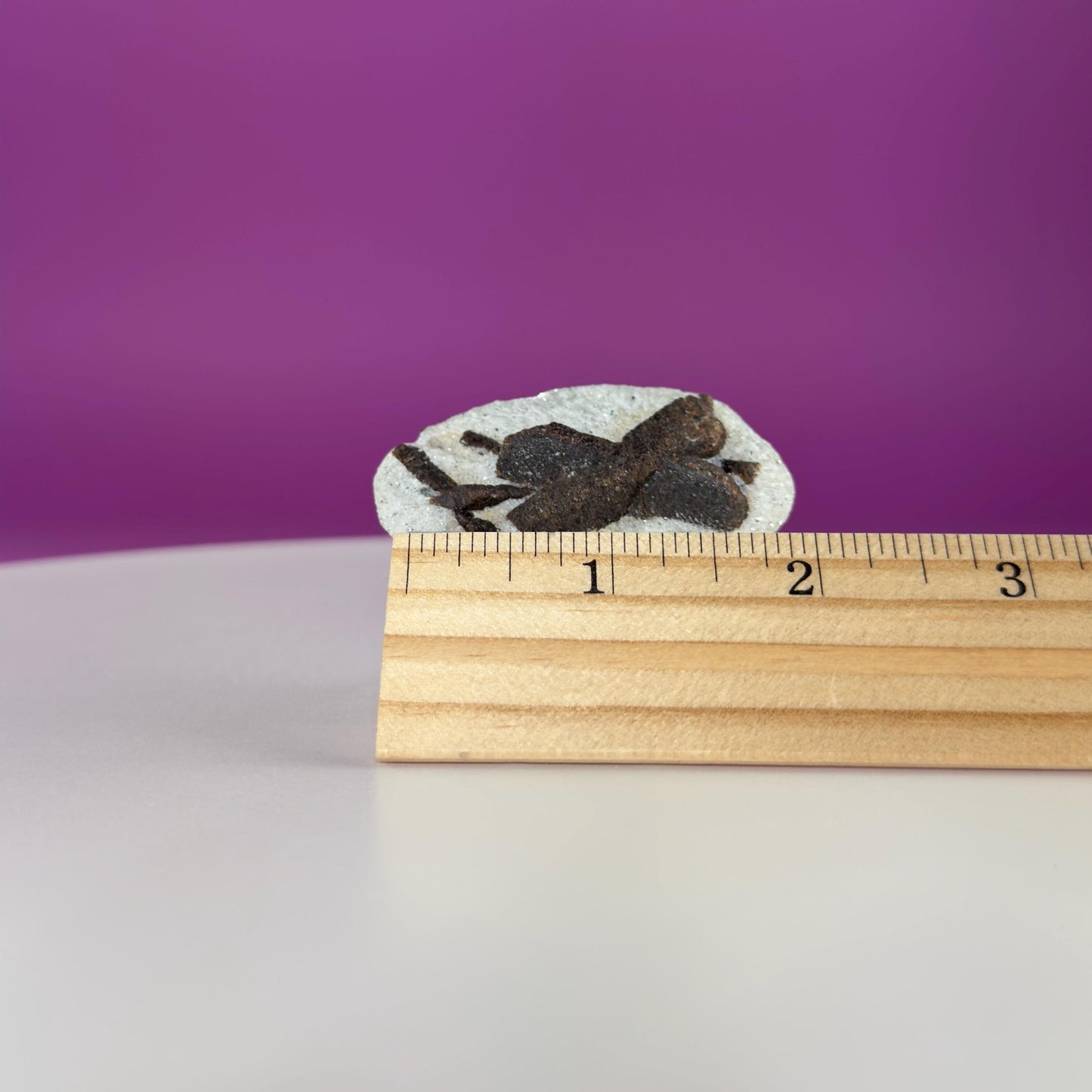 Staurolite Specimen from Russia | 38g Natural Cross Crystal with Stand