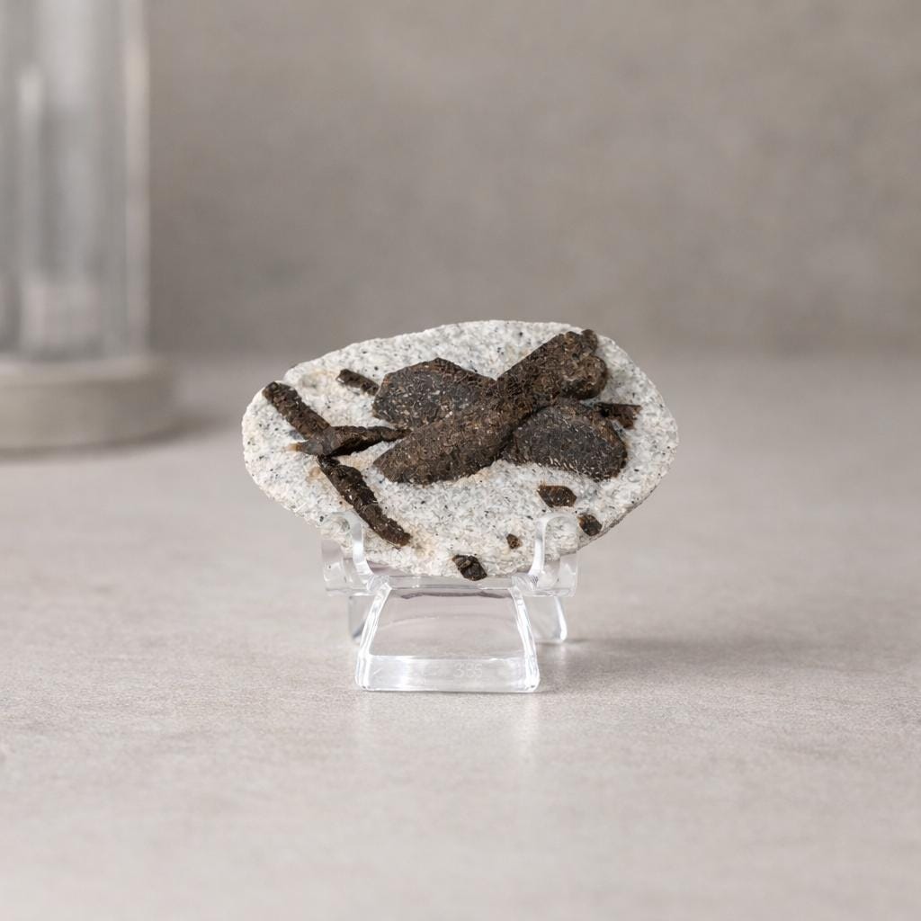 Staurolite Specimen from Russia | 38g Natural Cross Crystal with Stand