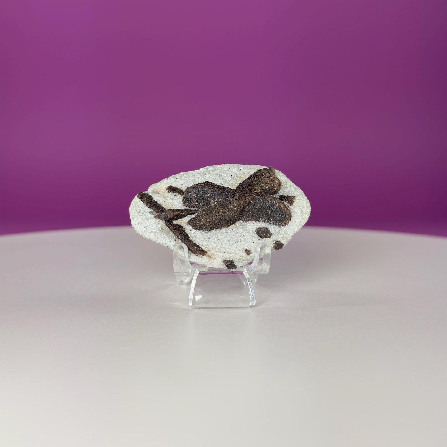 Staurolite Specimen from Russia | 38g Natural Cross Crystal with Stand