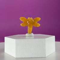 Golden Healer Dragonfly Mini 17g | Healing Crystal Carving | Transformation Pocket Stone Gift