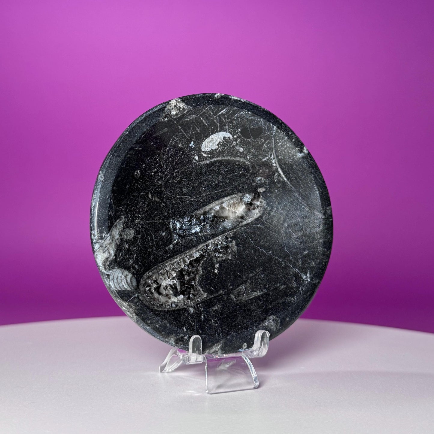 Mini Orthoceras Offering Bowl – 151g Fossil Crystal Dish for Altars & Ritual Work