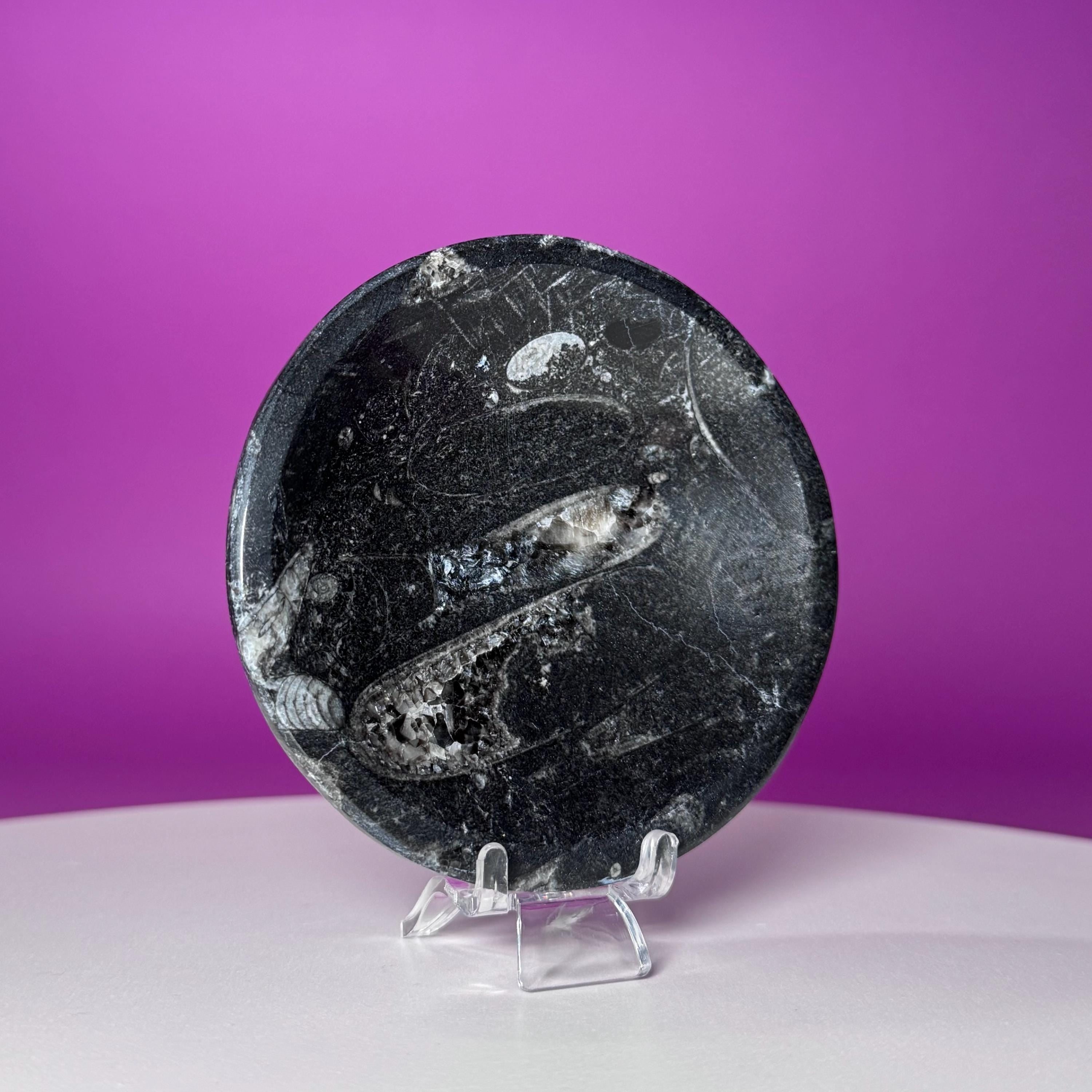 Mini Orthoceras Offering Bowl – 151g Fossil Crystal Dish for Altars & Ritual Work