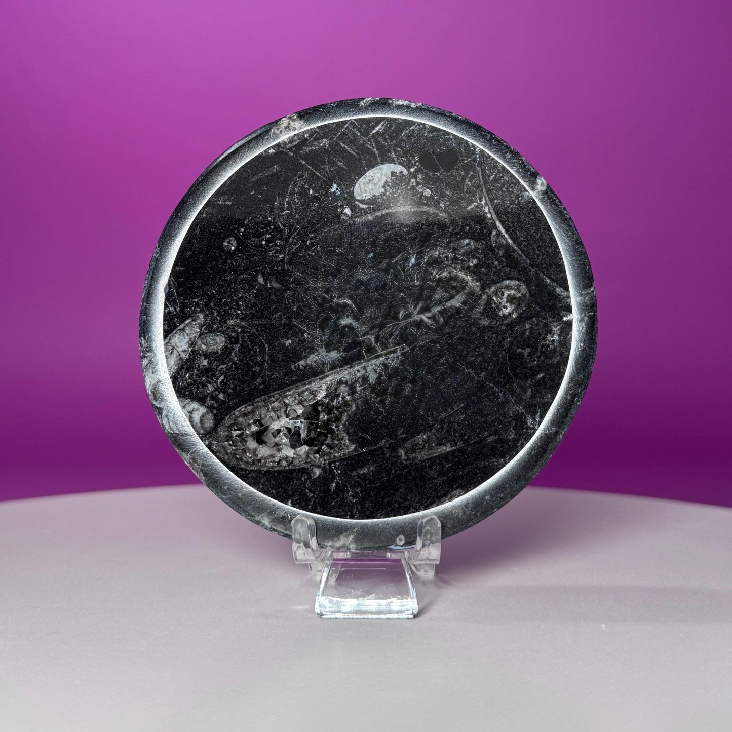 Mini Orthoceras Offering Bowl – 151g Fossil Crystal Dish for Altars & Ritual Work