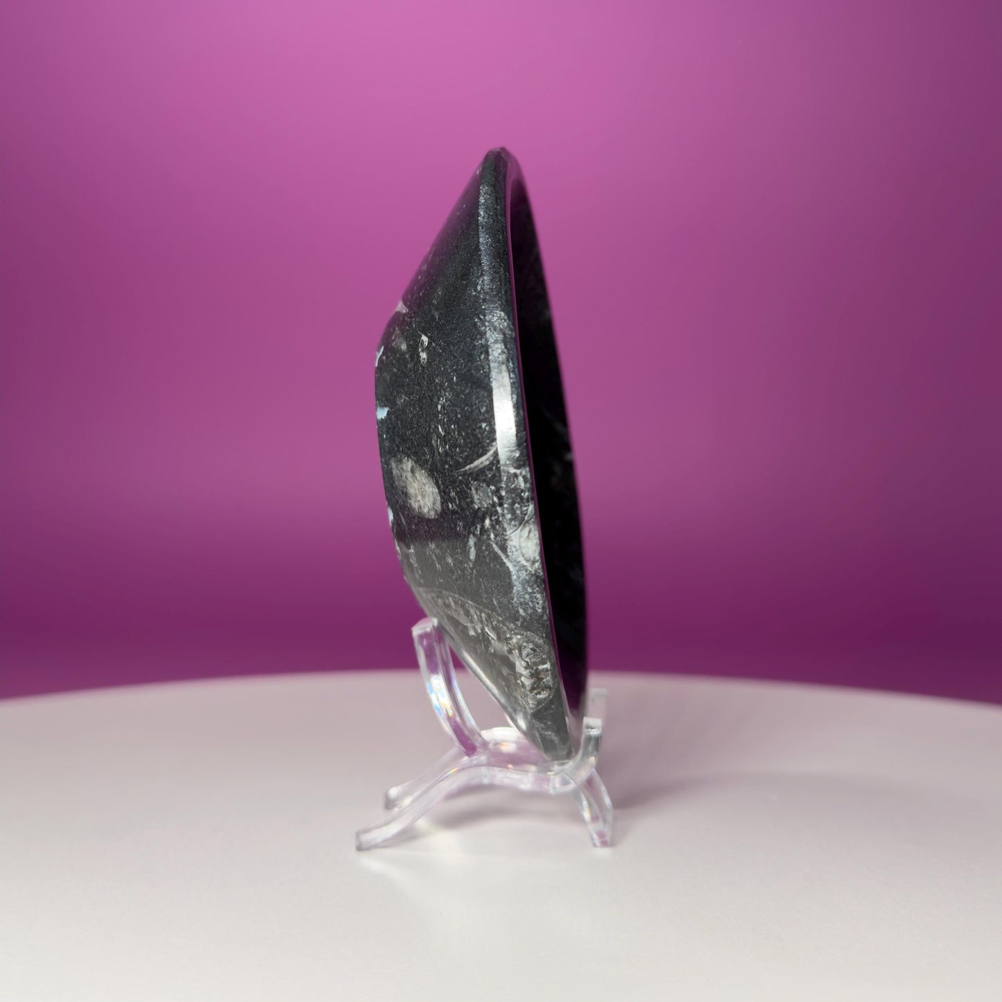 Mini Orthoceras Offering Bowl – 151g Fossil Crystal Dish for Altars & Ritual Work