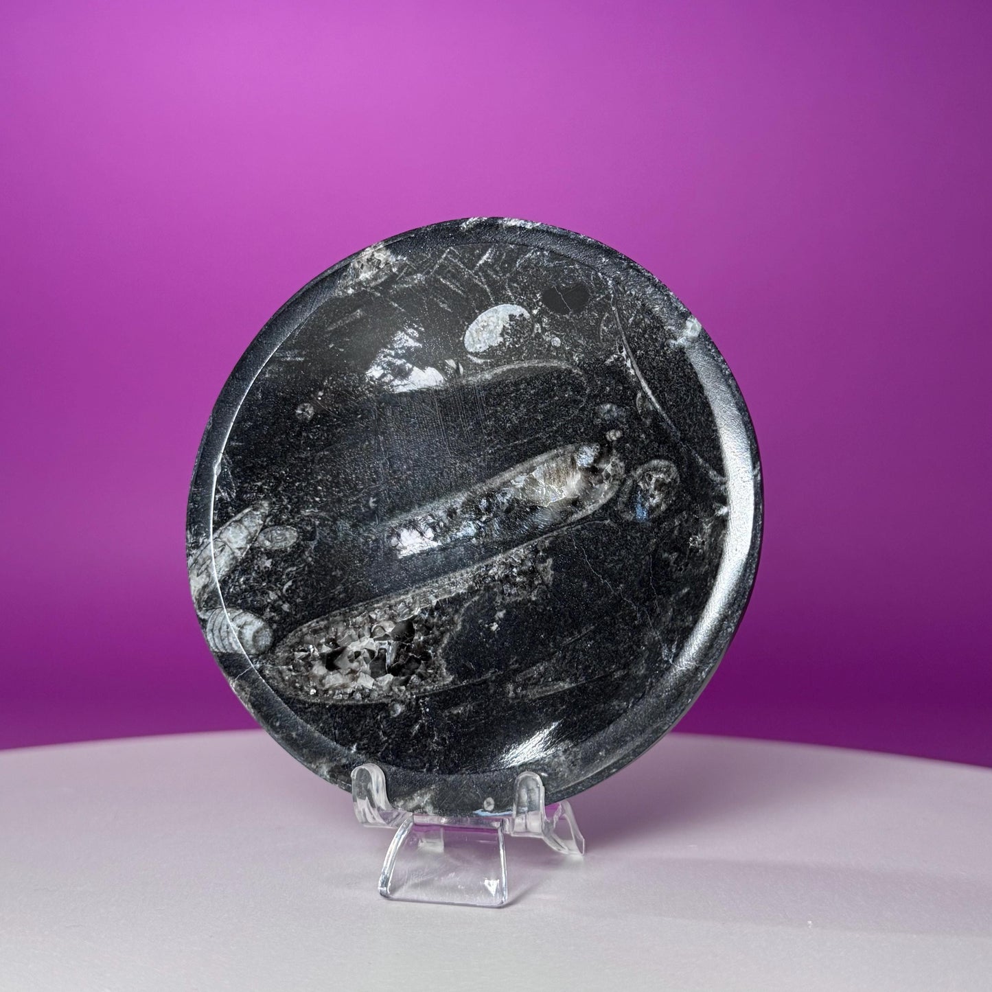 Mini Orthoceras Offering Bowl – 151g Fossil Crystal Dish for Altars & Ritual Work