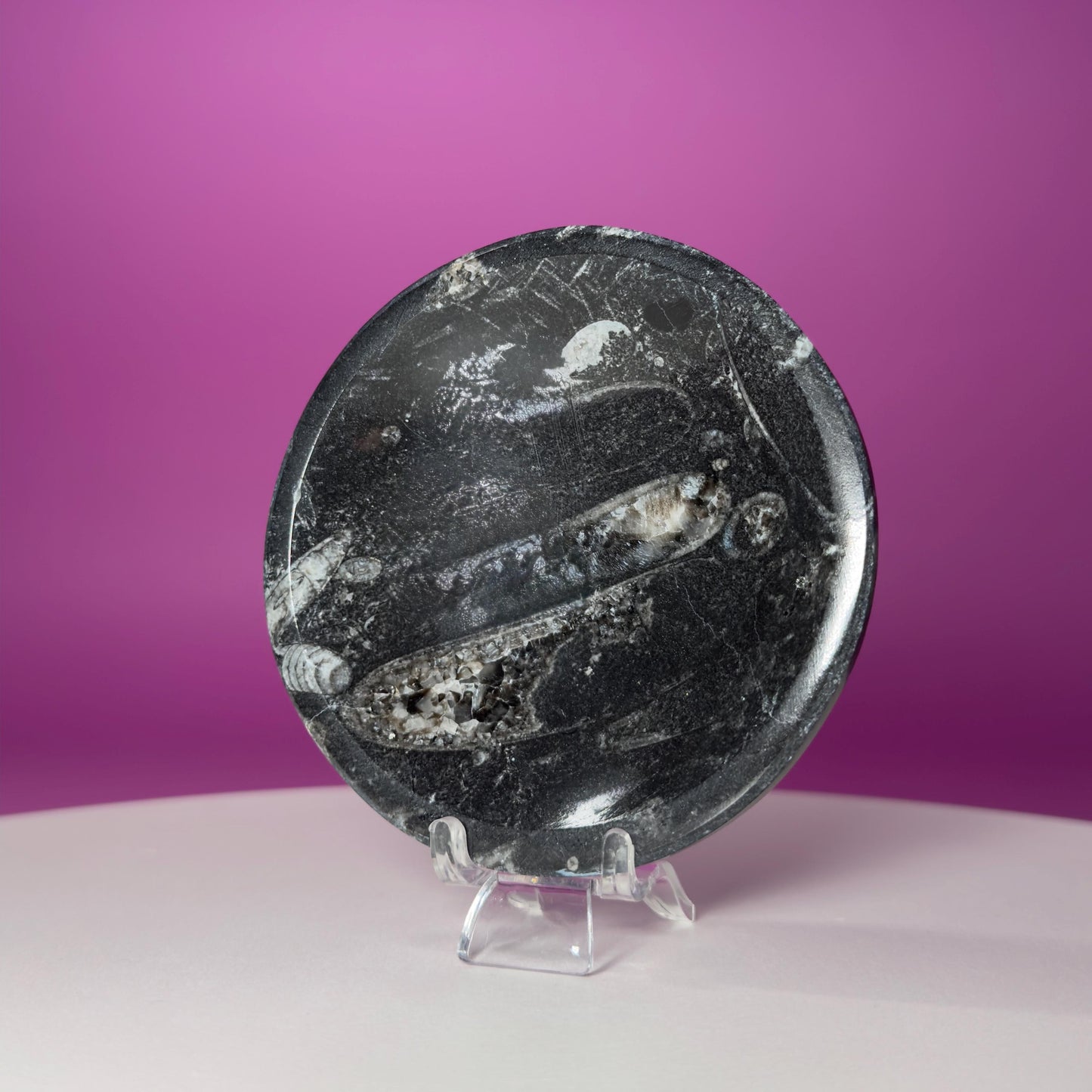 Mini Orthoceras Offering Bowl – 151g Fossil Crystal Dish for Altars & Ritual Work