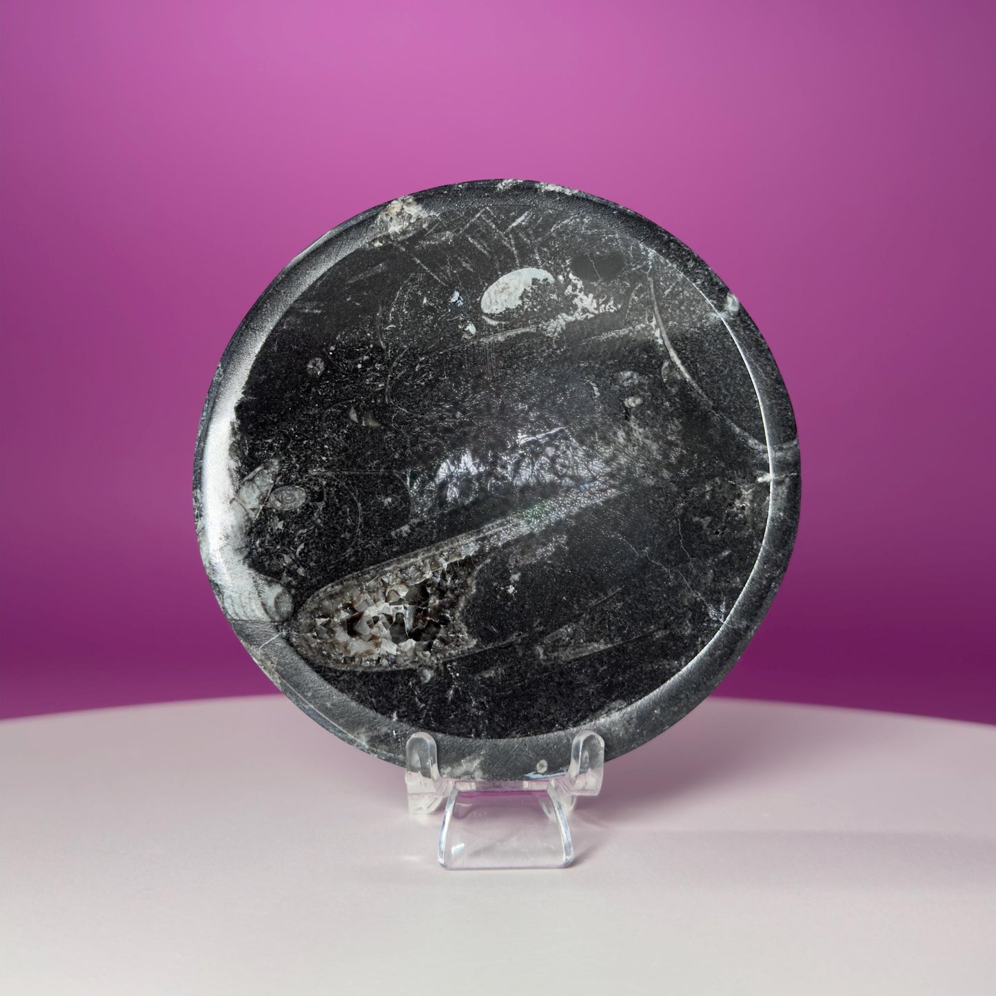 Mini Orthoceras Offering Bowl – 151g Fossil Crystal Dish for Altars & Ritual Work