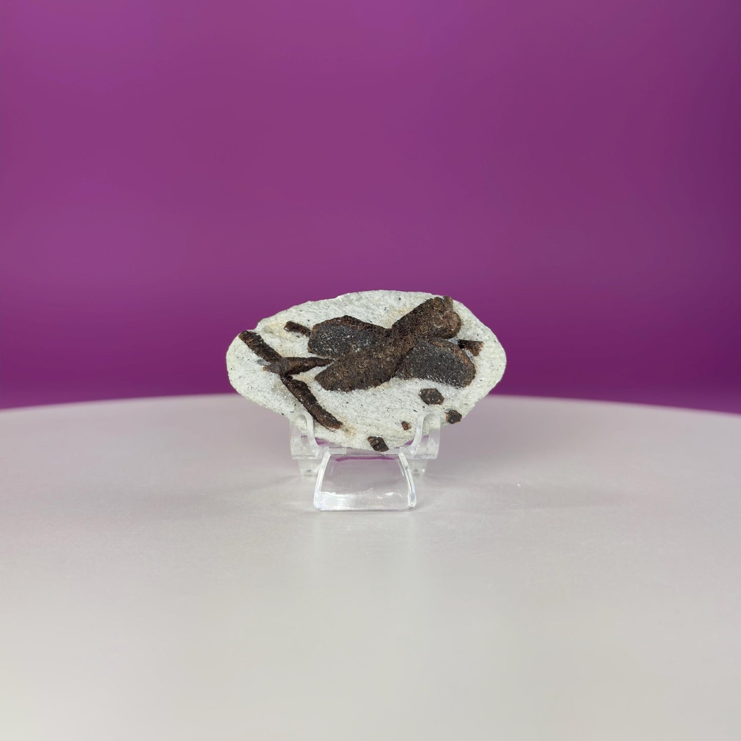 Staurolite Specimen from Russia | 38g Natural Cross Crystal with Stand