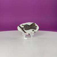 Staurolite Specimen from Russia | 38g Natural Cross Crystal with Stand