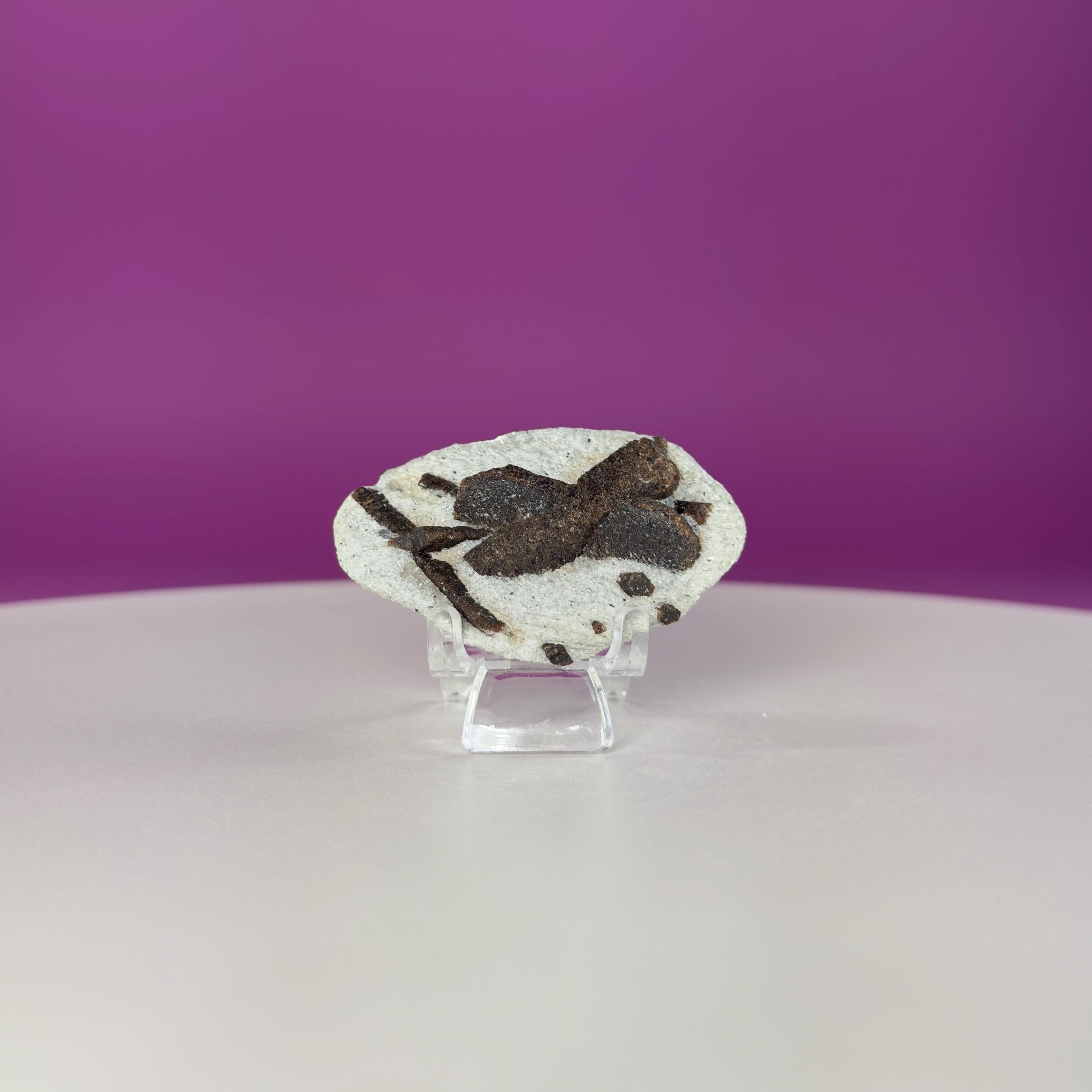 Staurolite Specimen from Russia | 38g Natural Cross Crystal with Stand