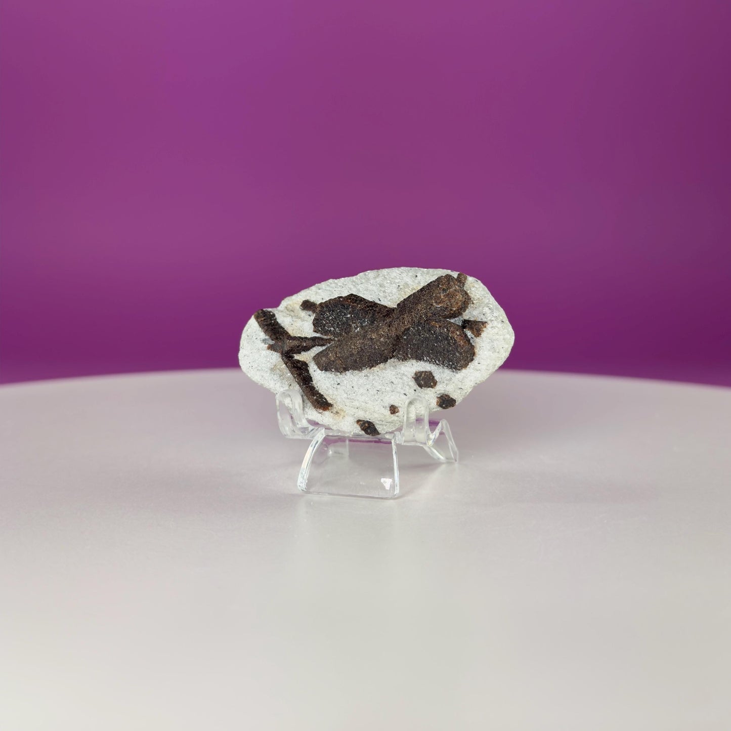 Staurolite Specimen from Russia | 38g Natural Cross Crystal with Stand