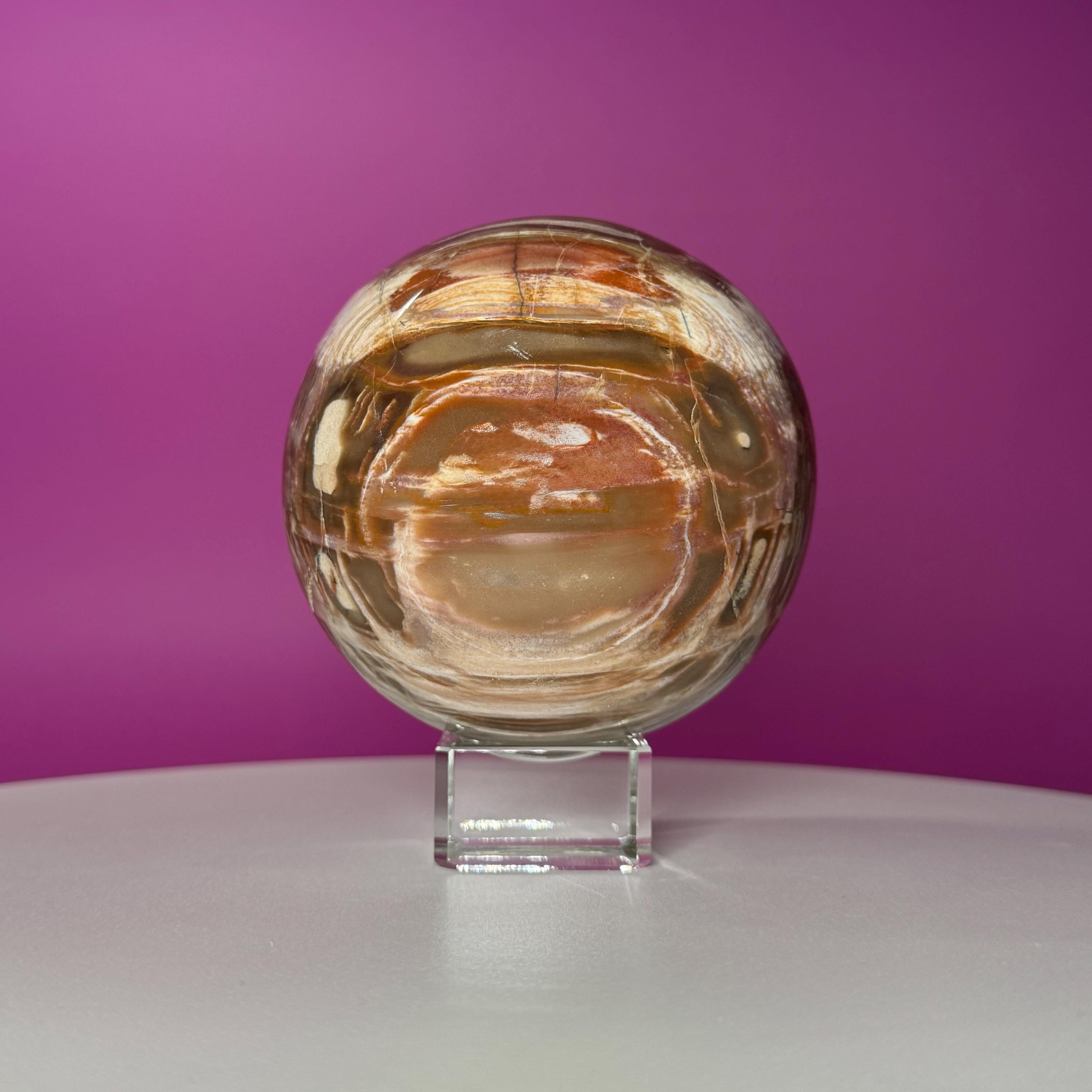 Petrified Wood Sphere with Stand | Natural Fossil Crystal Display (Imperfect / Repaired)
