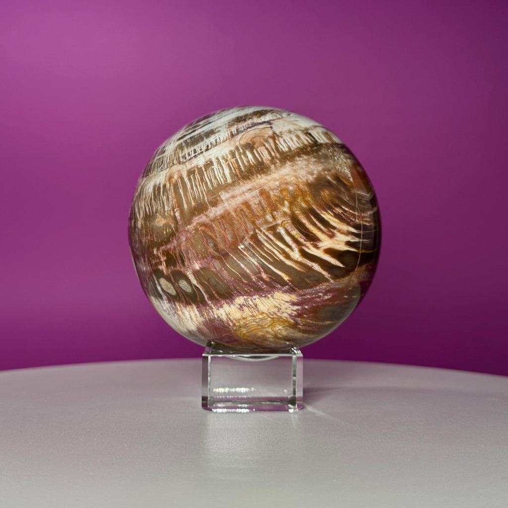 Petrified Wood Sphere with Stand | Natural Fossil Crystal Display (Imperfect / Repaired)