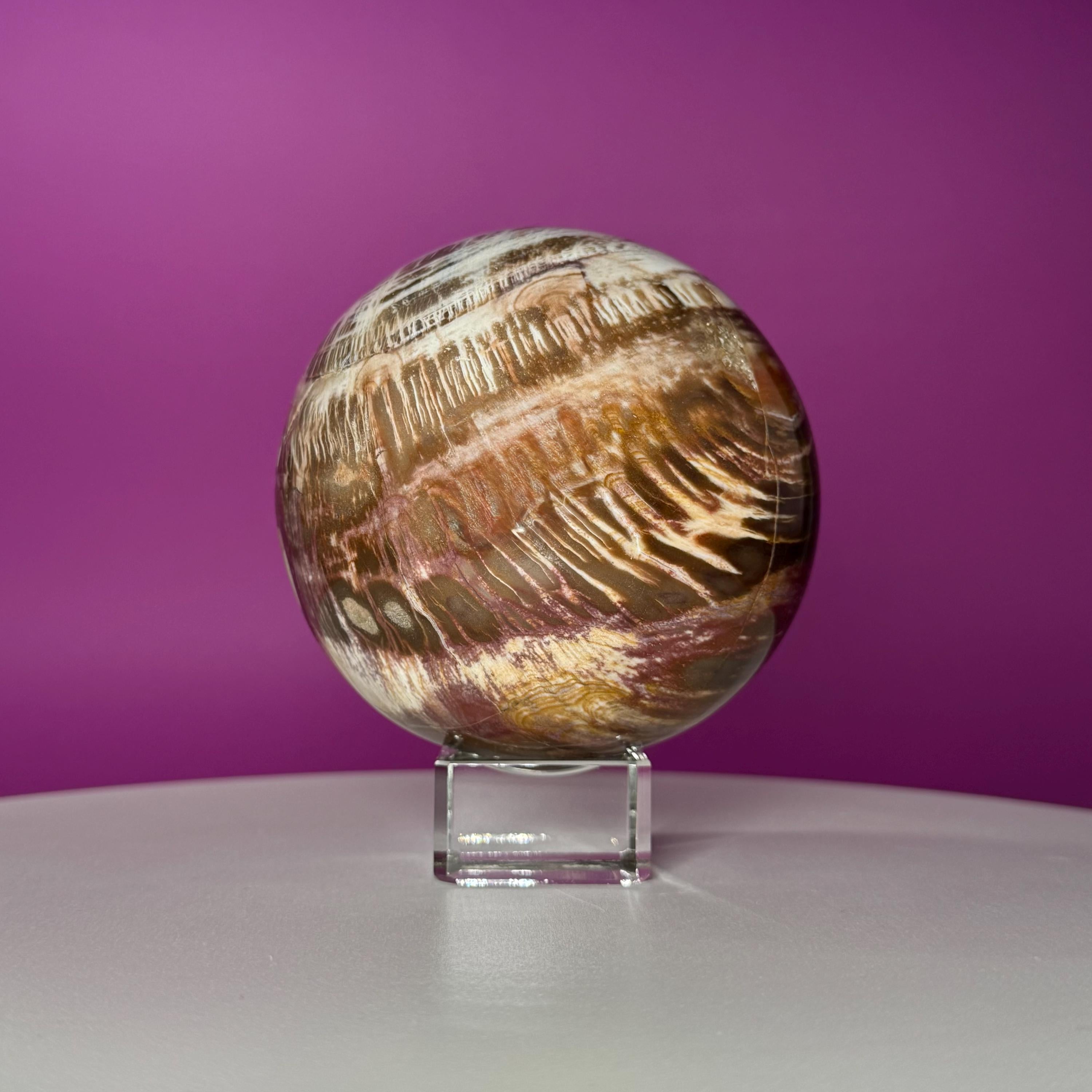 Petrified Wood Sphere with Stand | Natural Fossil Crystal Display (Imperfect / Repaired)