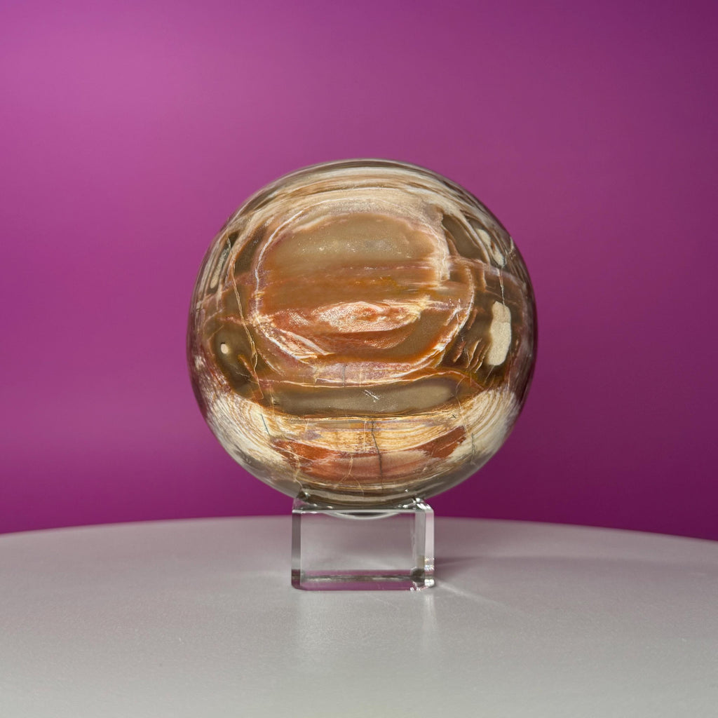 Petrified Wood Sphere with Stand | Natural Fossil Crystal Display (Imperfect / Repaired)