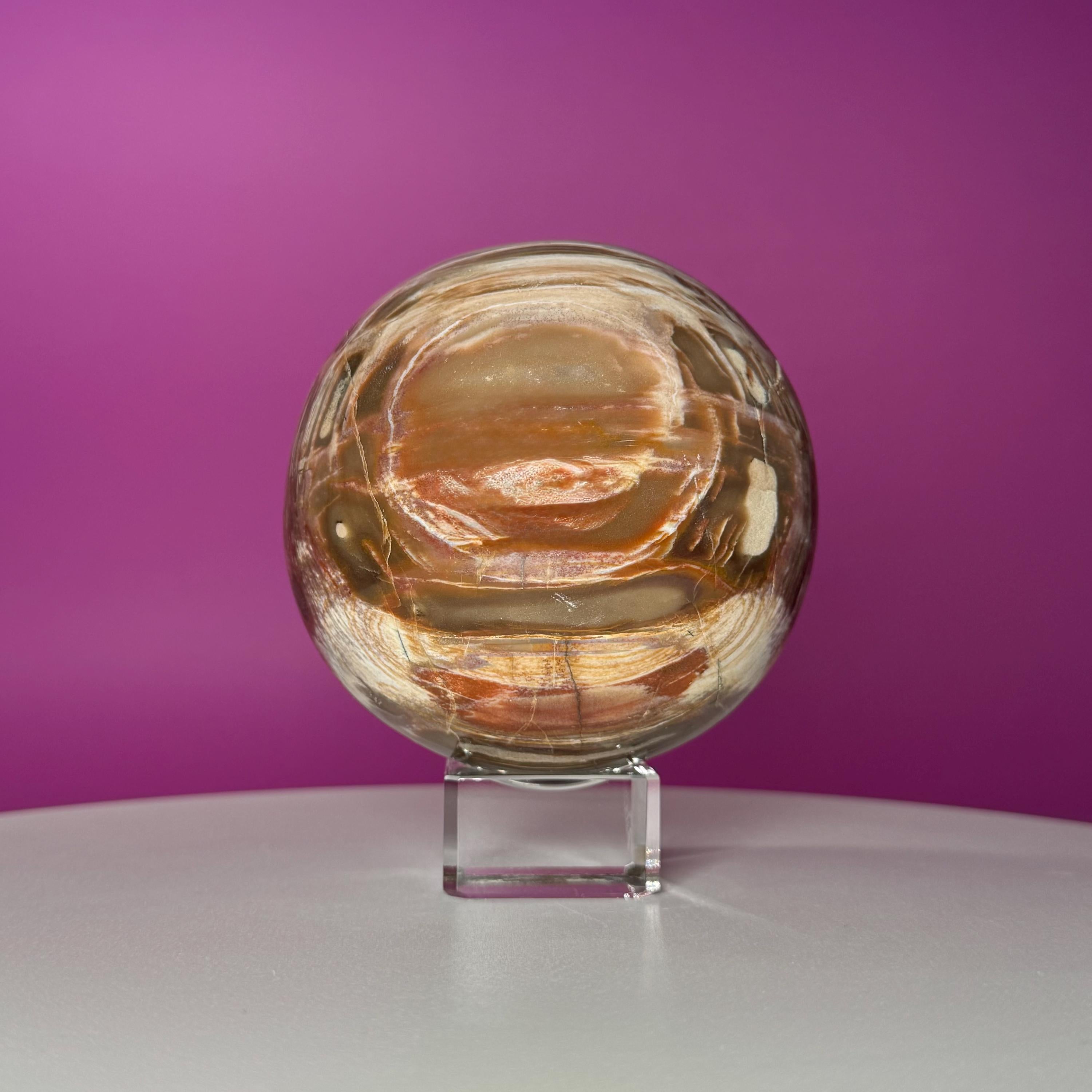 Petrified Wood Sphere with Stand | Natural Fossil Crystal Display (Imperfect / Repaired)