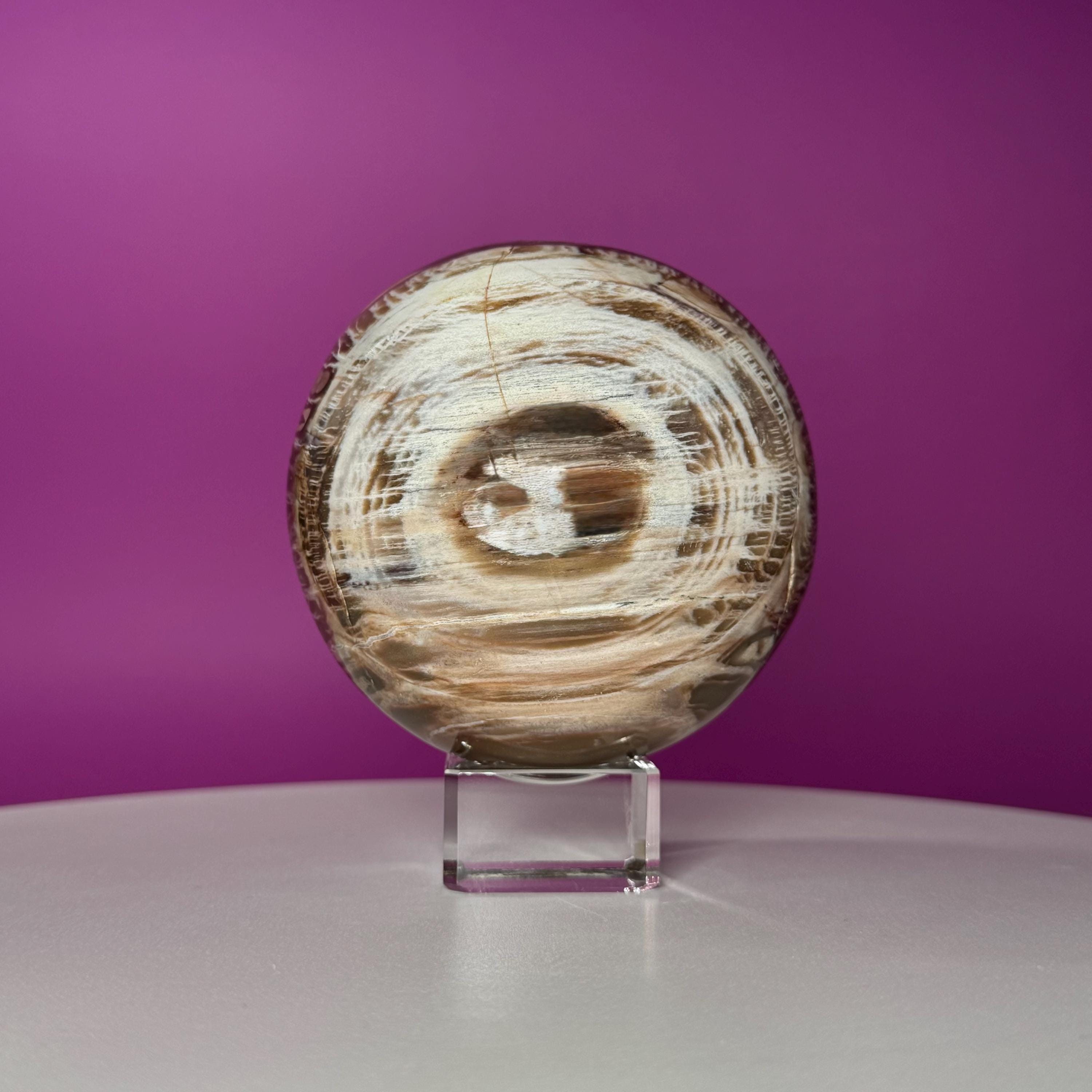 Petrified Wood Sphere with Stand | Natural Fossil Crystal Display (Imperfect / Repaired)