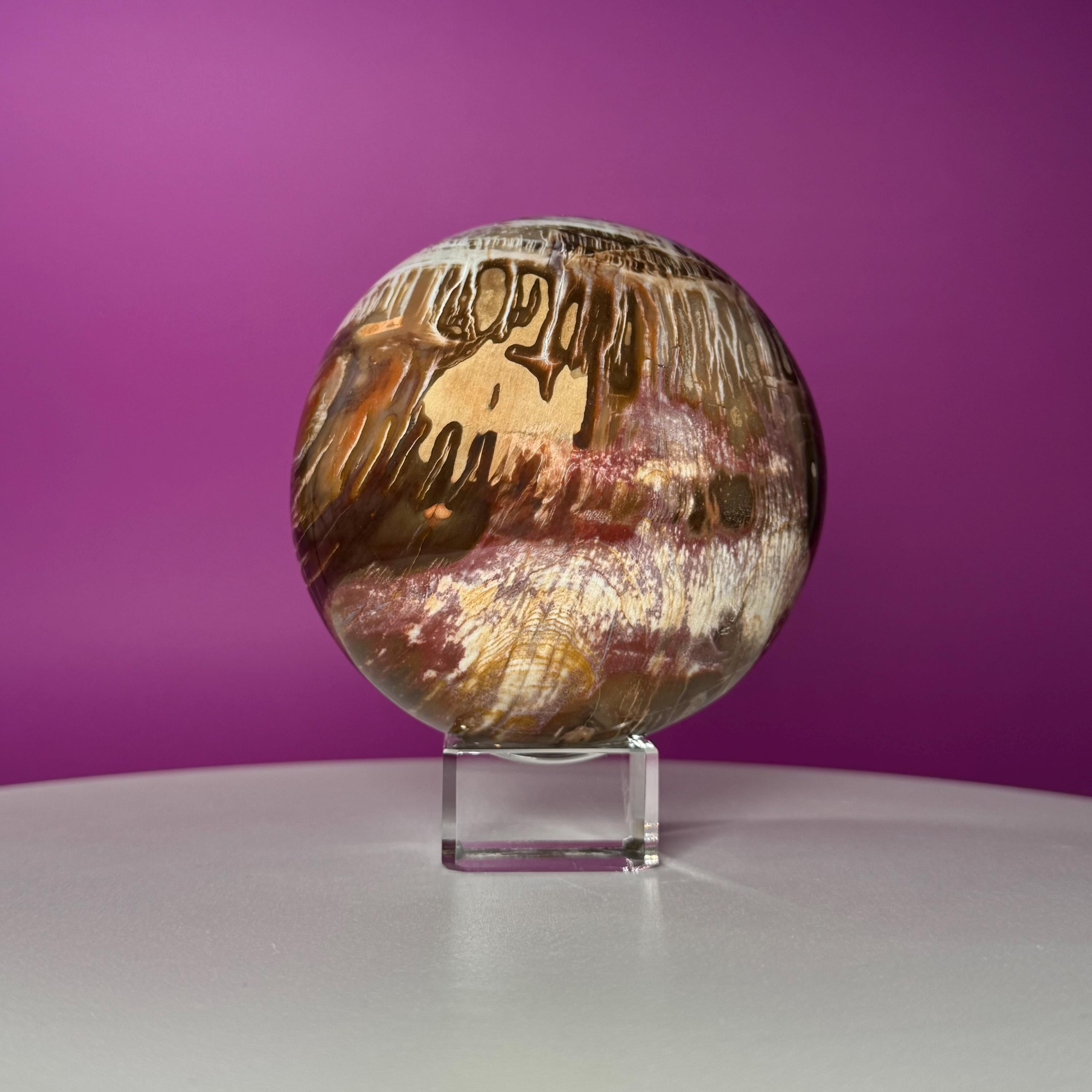 Petrified Wood Sphere with Stand | Natural Fossil Crystal Display (Imperfect / Repaired)