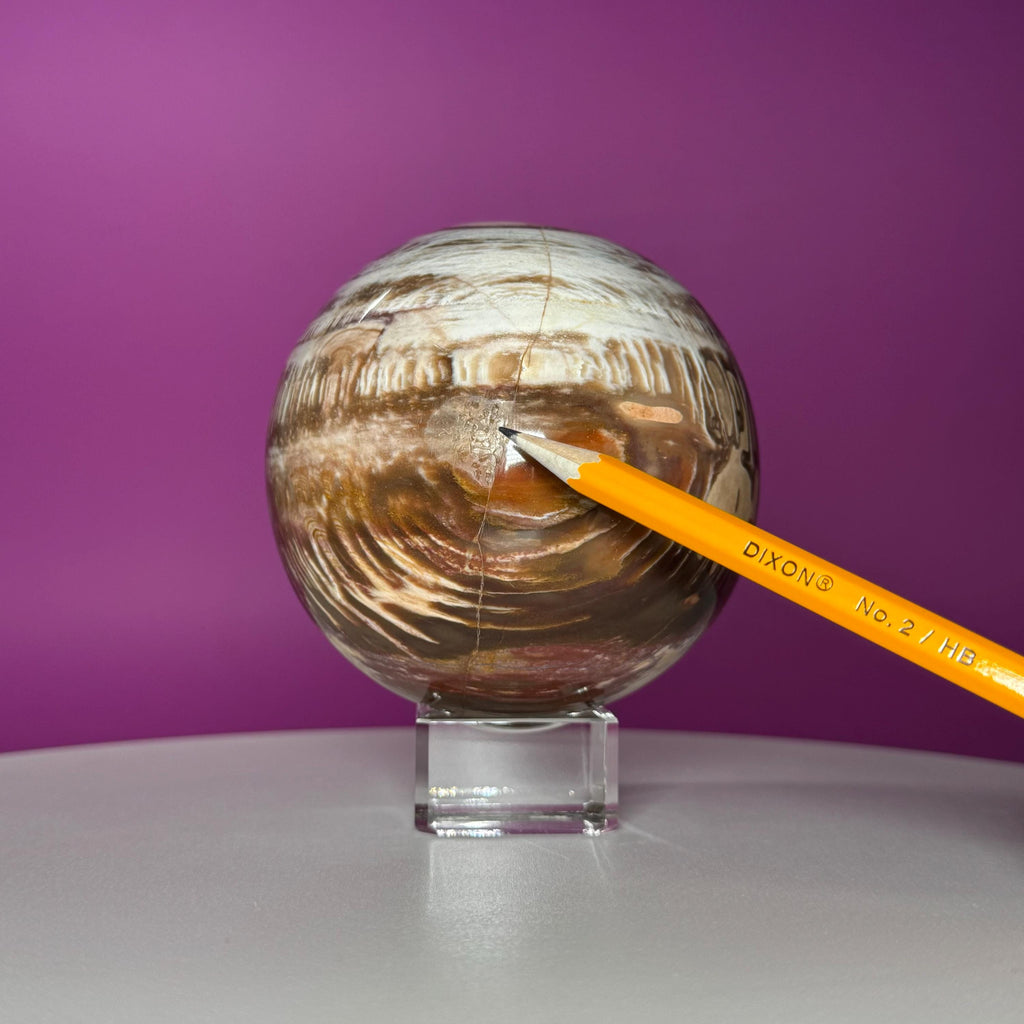 Petrified Wood Sphere with Stand | Natural Fossil Crystal Display (Imperfect / Repaired)
