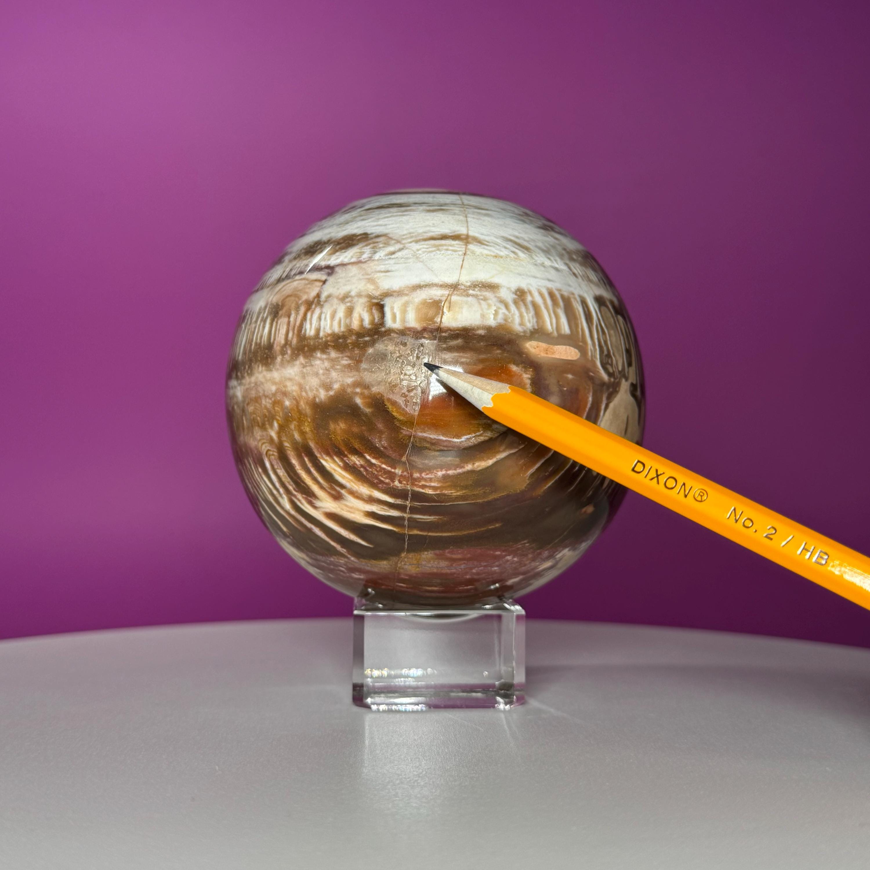 Petrified Wood Sphere with Stand | Natural Fossil Crystal Display (Imperfect / Repaired)