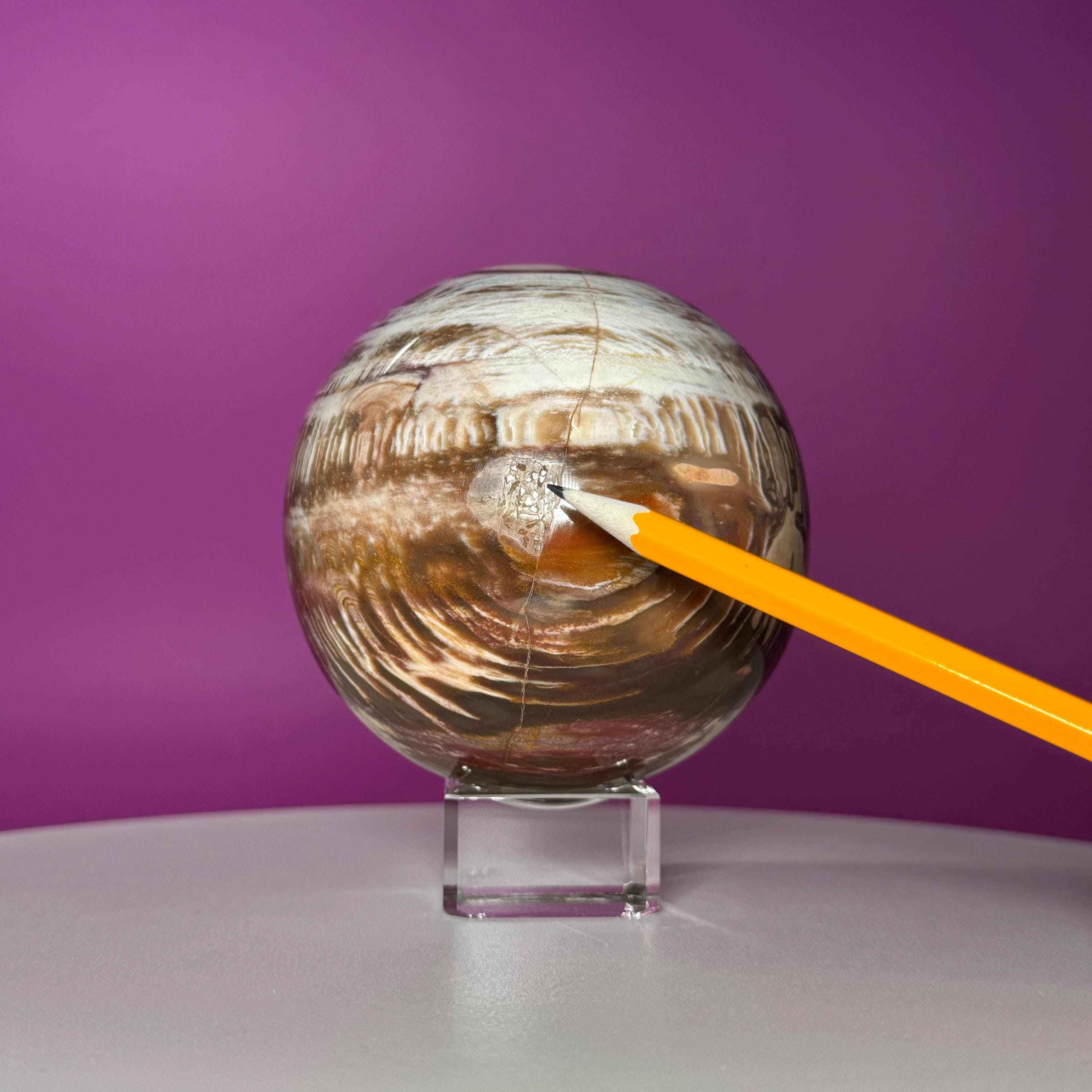 Petrified Wood Sphere with Stand | Natural Fossil Crystal Display (Imperfect / Repaired)