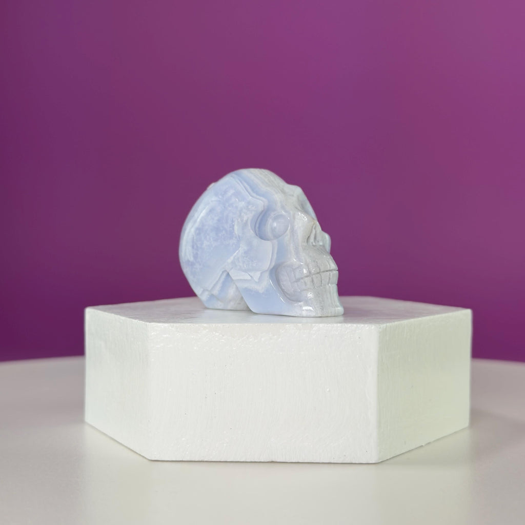Blue Lace Agate Skull Carving | Polished Crystal Skull for Calm & Communication