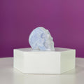Blue Lace Agate Skull Carving | Polished Crystal Skull for Calm & Communication