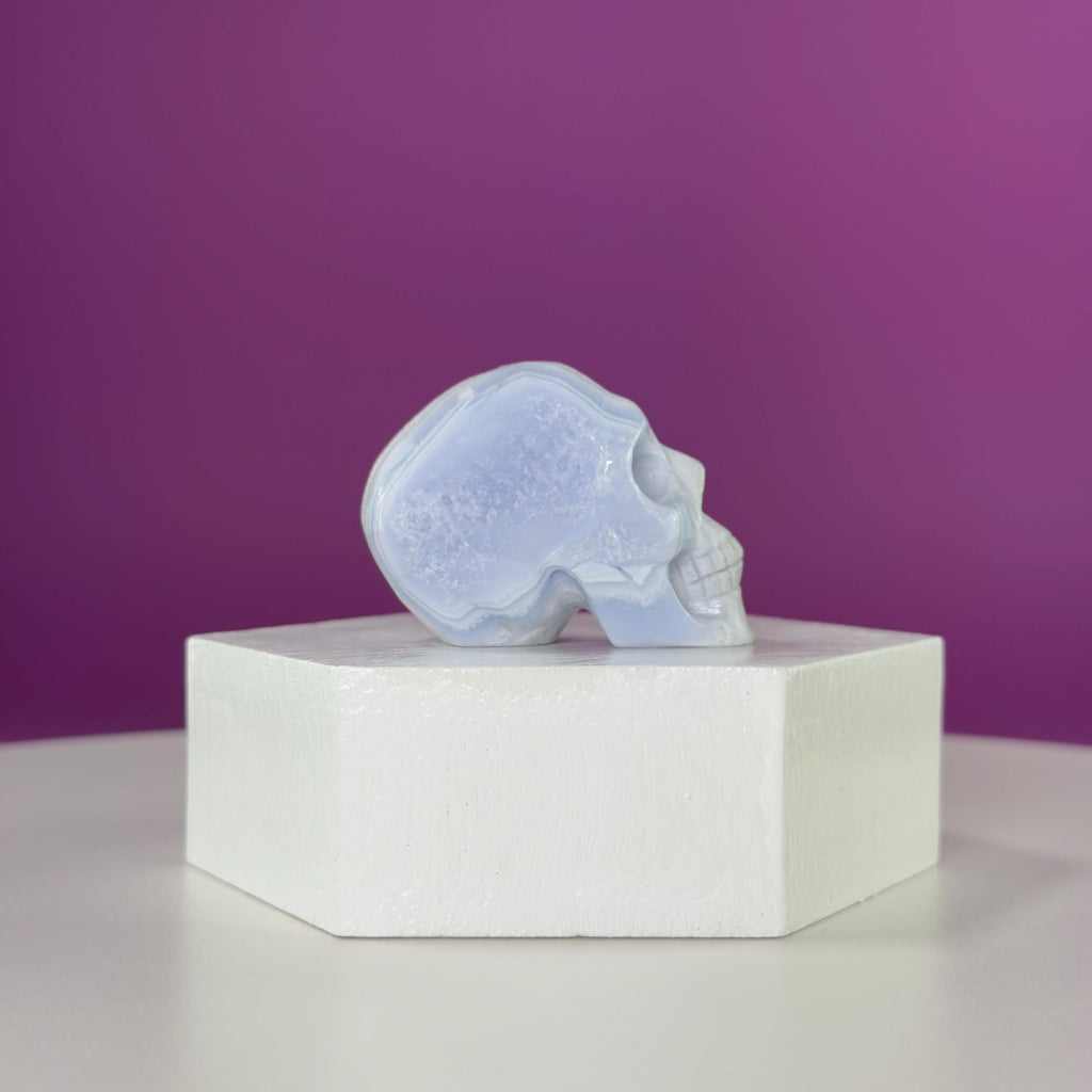 Blue Lace Agate Skull Carving | Polished Crystal Skull for Calm & Communication