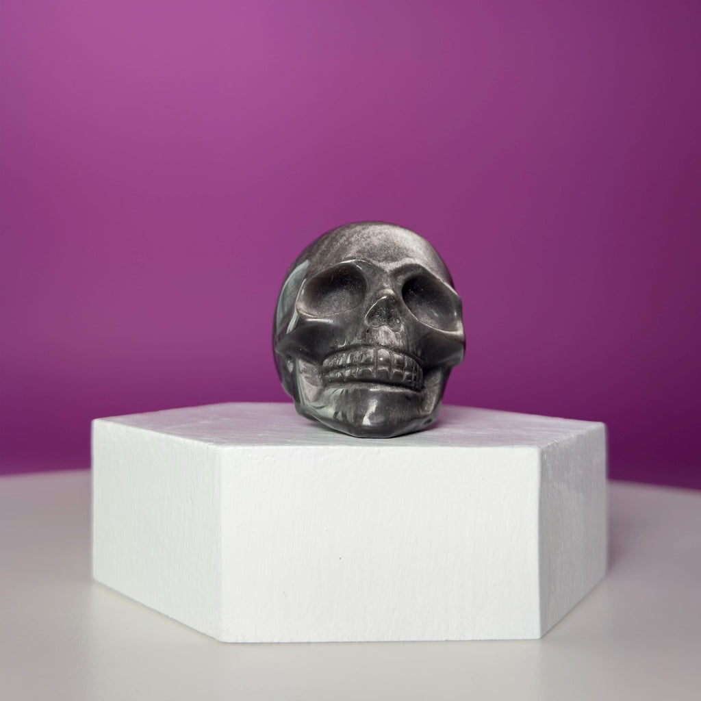 Silver Sheen Obsidian Skull Carving | Polished Crystal Skull for Protection & Grounding
