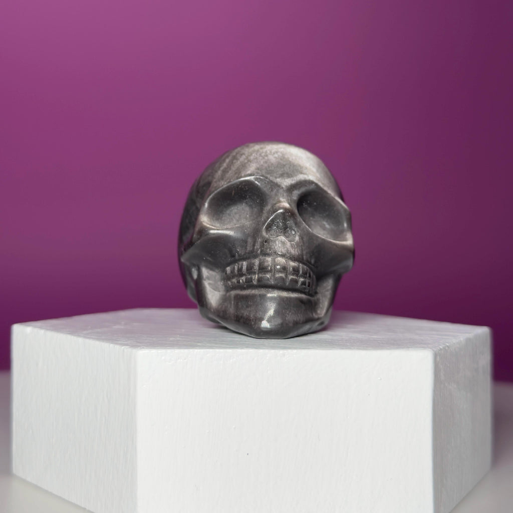 Silver Sheen Obsidian Skull Carving | Polished Crystal Skull for Protection & Grounding