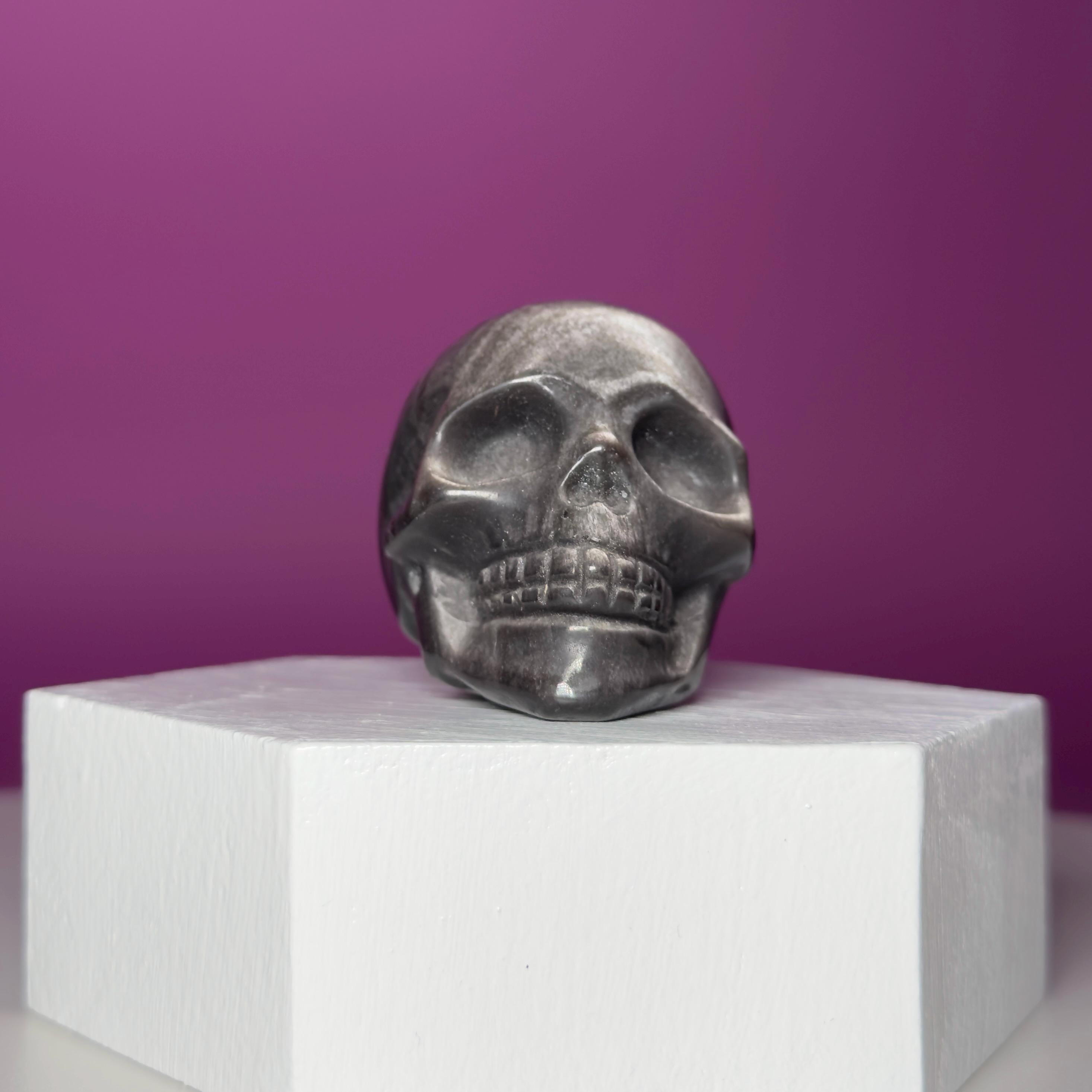 Silver Sheen Obsidian Skull Carving | Polished Crystal Skull for Protection & Grounding