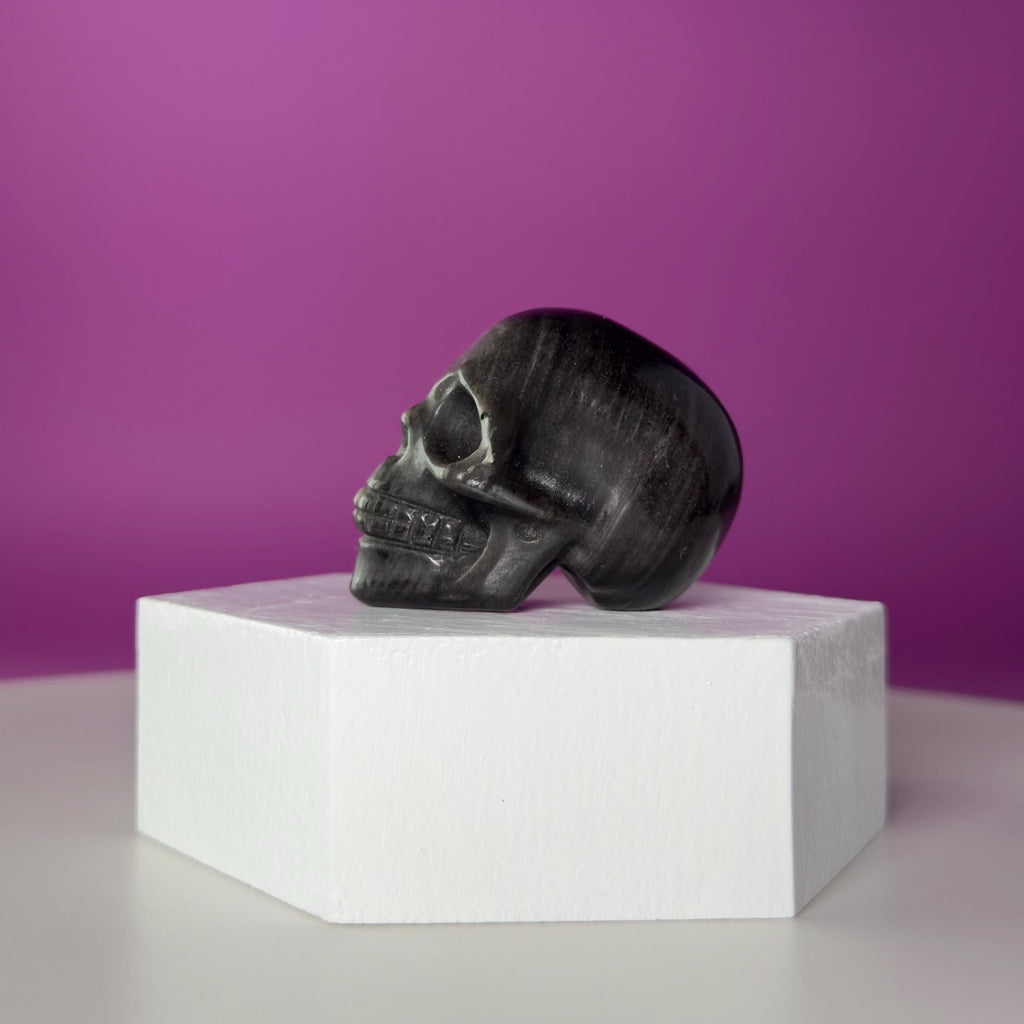 Silver Sheen Obsidian Skull Carving | Polished Crystal Skull for Protection & Grounding