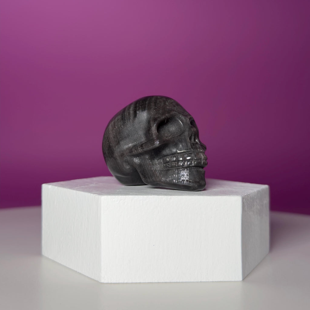 Silver Sheen Obsidian Skull Carving | Polished Crystal Skull for Protection & Grounding