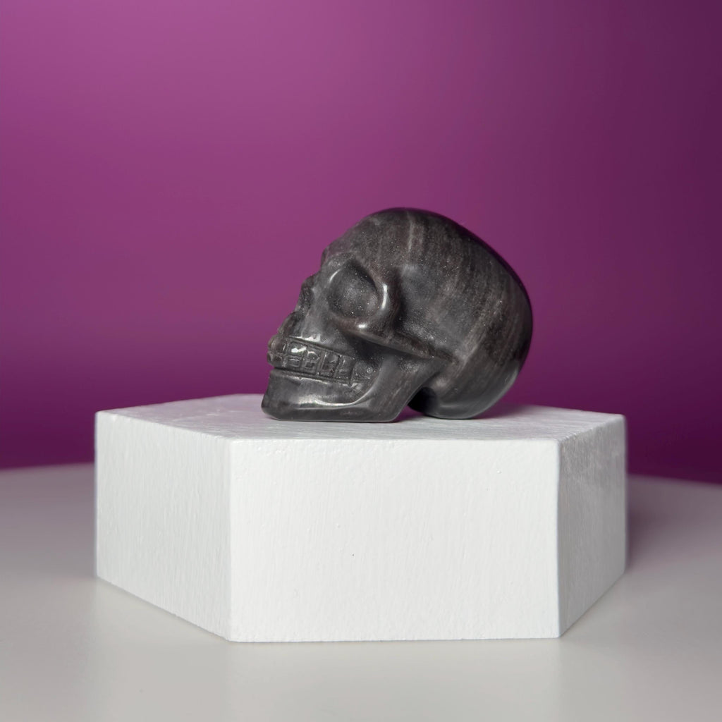 Silver Sheen Obsidian Skull Carving | Polished Crystal Skull for Protection & Grounding